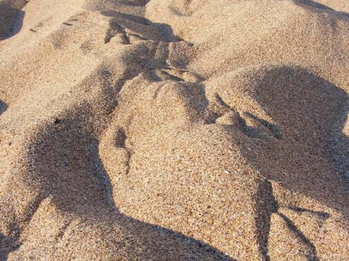 sand 桌布 壁紙 — 特寫鏡頭：在明亮陽光下，風雕刻出紋理豐富的金色沙丘，投下銳利陰影。