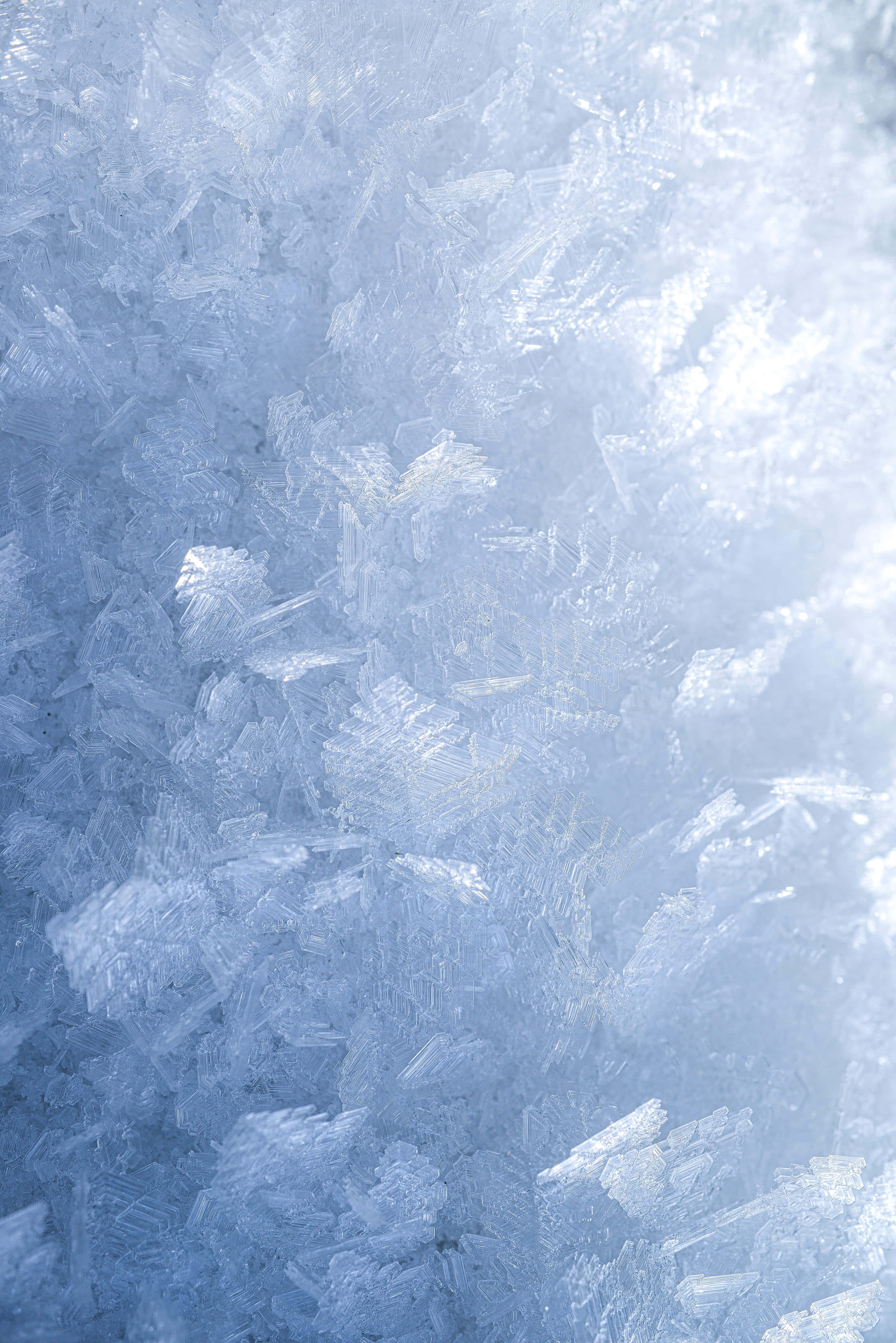 Frost 桌布 壁紙 — 特寫鏡頭：在柔和光線下，複雜的霜晶在冰冷表面上形成精緻的冰紋。