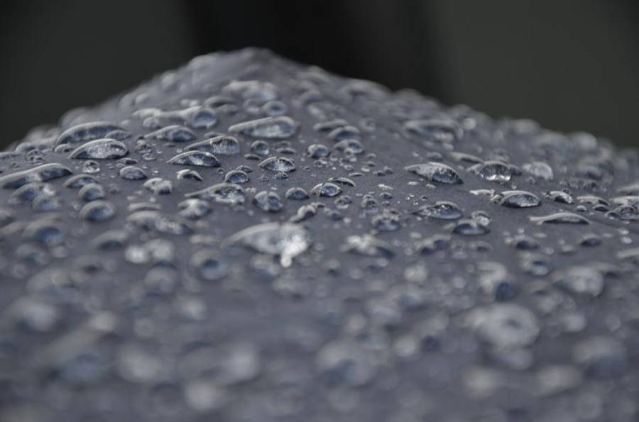 Raining 桌布 壁紙 — 特寫鏡頭：在柔和光線下，閃爍的水珠依附在深色紋理表面上。