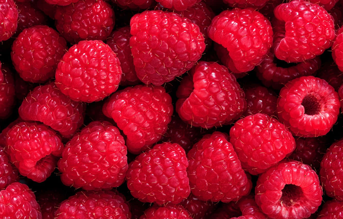 Raspberry 桌布 壁紙 — 特寫鏡頭，多汁飽滿的紅覆盆子，表面有紋理和細小絨毛，背景深色。