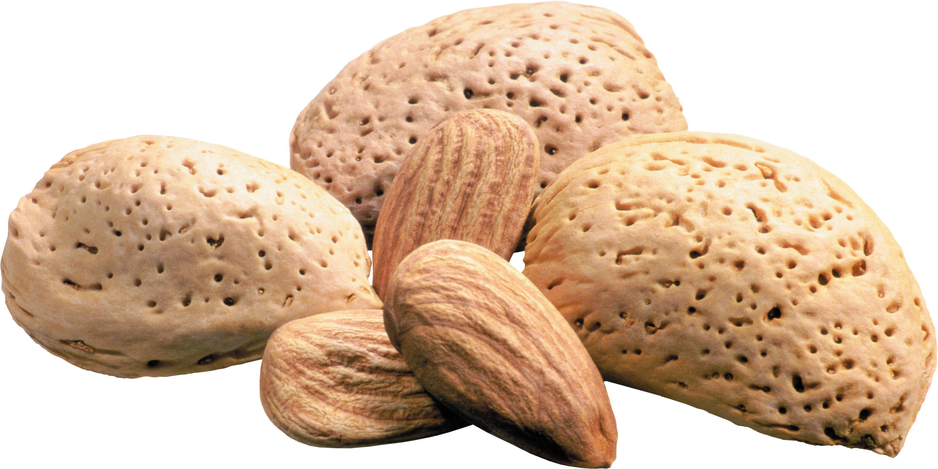Almond 桌布 壁紙 — 特寫鏡頭：完整杏仁及帶紋理的杏仁殼，自然排列在潔白背景上。