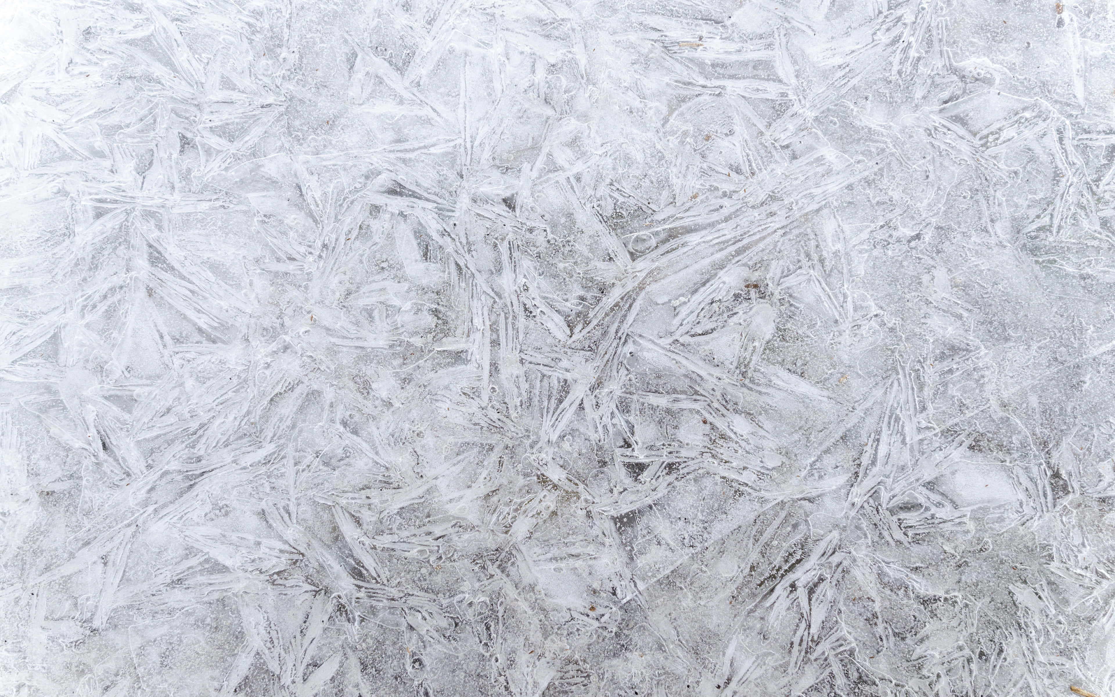 Freeze 桌布 壁紙 — 特寫鏡頭，展示寒冷表面上形成精緻冰晶的複雜霜凍圖案。