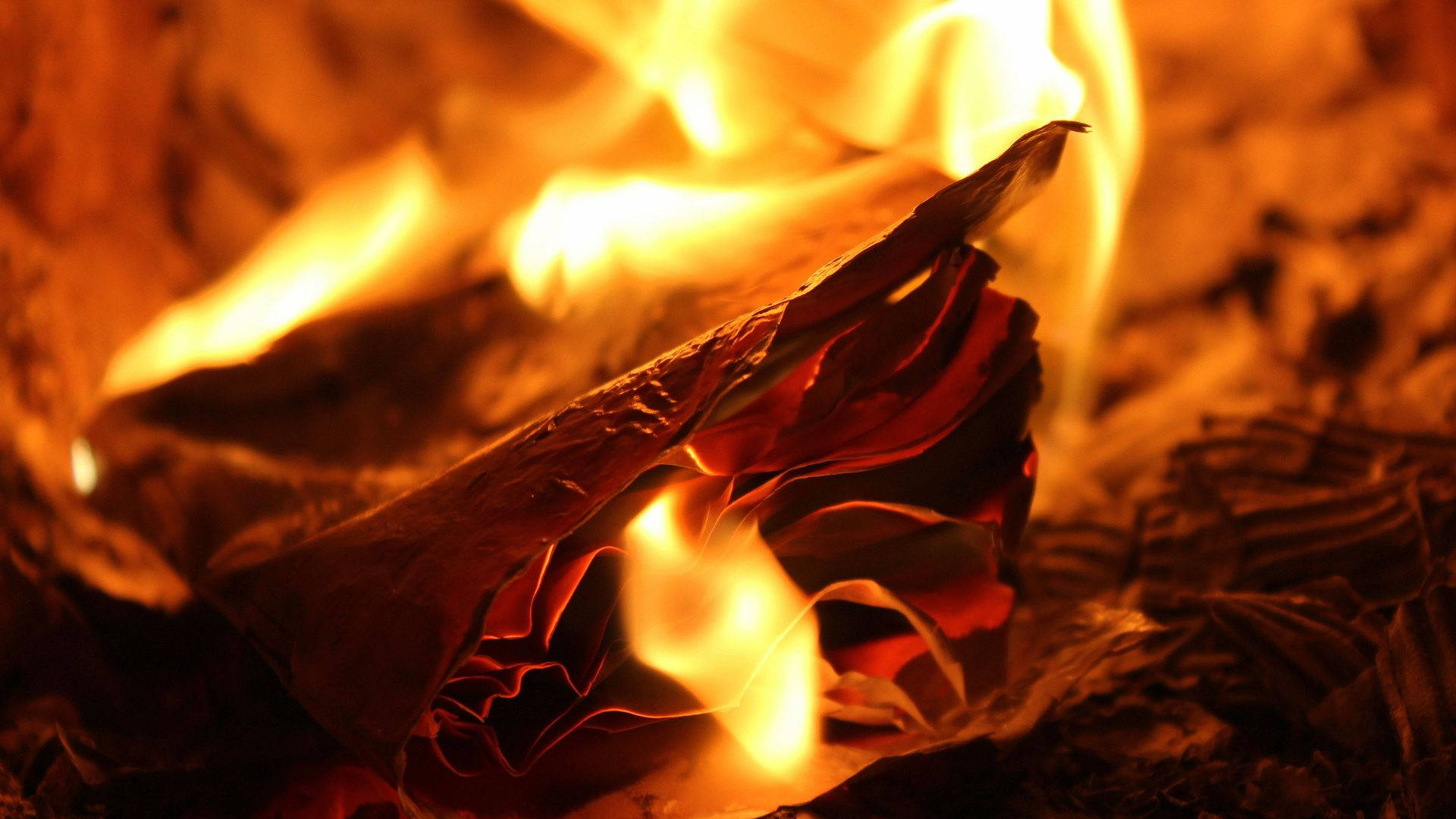 Flame 桌布 壁紙 — 特寫鏡頭，展示溫暖發光的火焰中，鮮豔的橙色火焰吞噬著一張皺巴巴的紙。