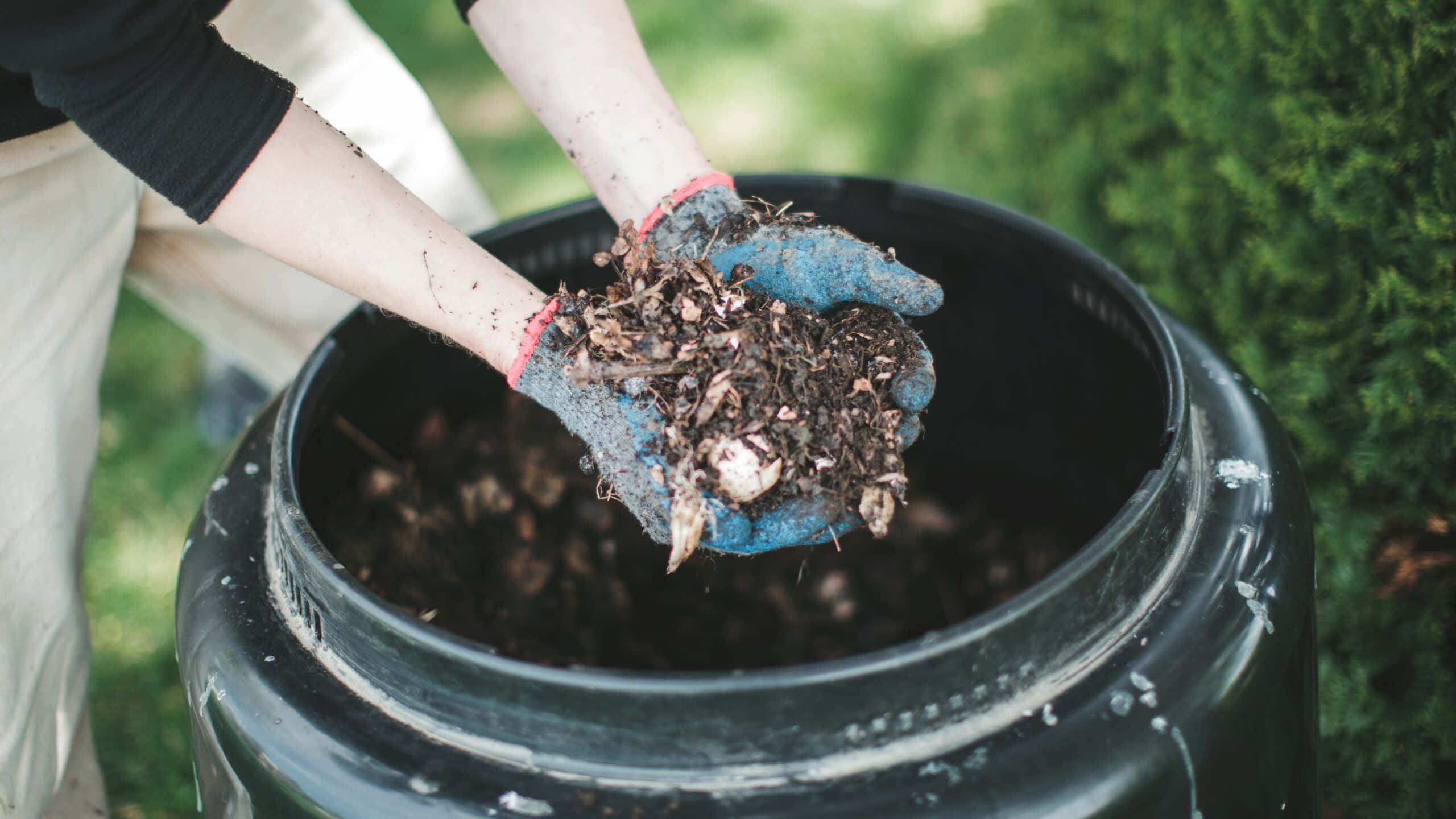 Compost 桌布 壁紙 — 特寫鏡頭，戴手套的手在黑色垃圾桶上拿著豐富的堆肥，背景有綠色葉子，焦點柔和。