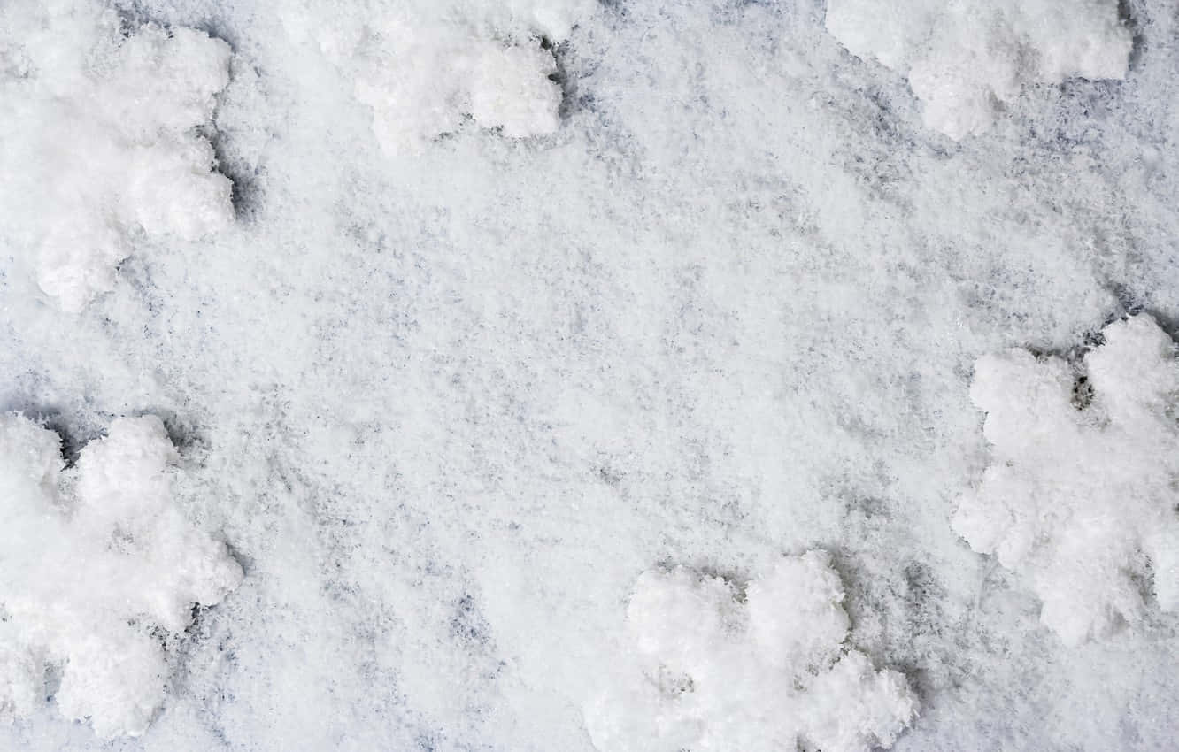 White Snow 桌布 壁紙 — 特寫鏡頭：柔軟的雪花散落在有紋理的冰面上，在柔和冬日陽光下。