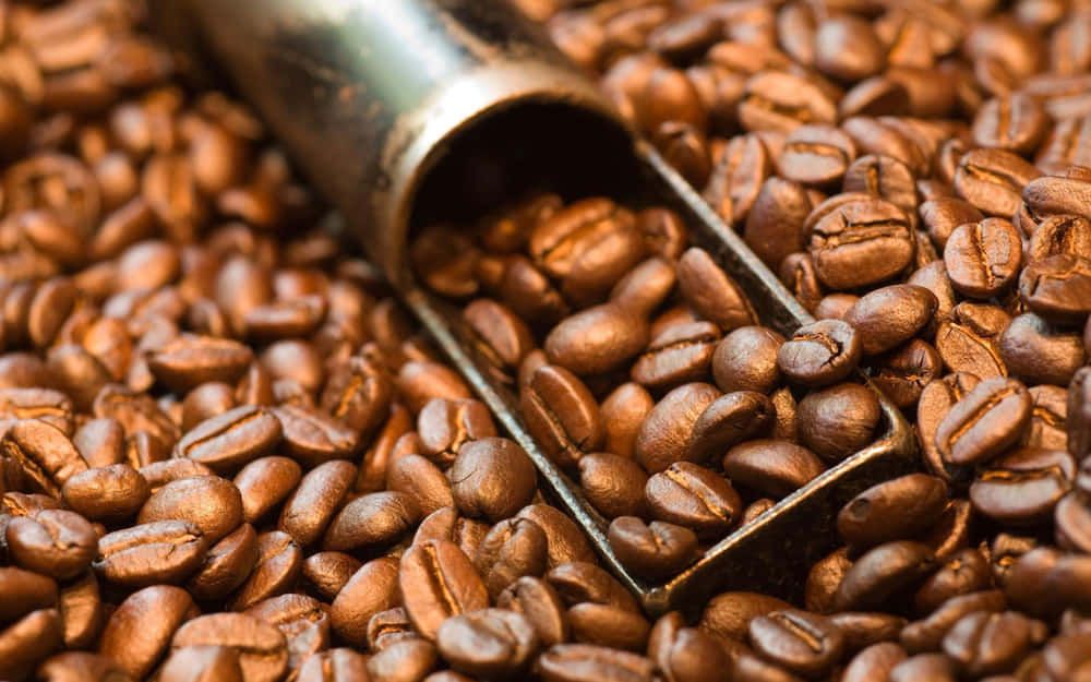 Brown Coffee 桌布 壁紙 — 特寫鏡頭，深棕色烘焙咖啡豆從金屬勺中灑落，帶有溫暖的金色高光。