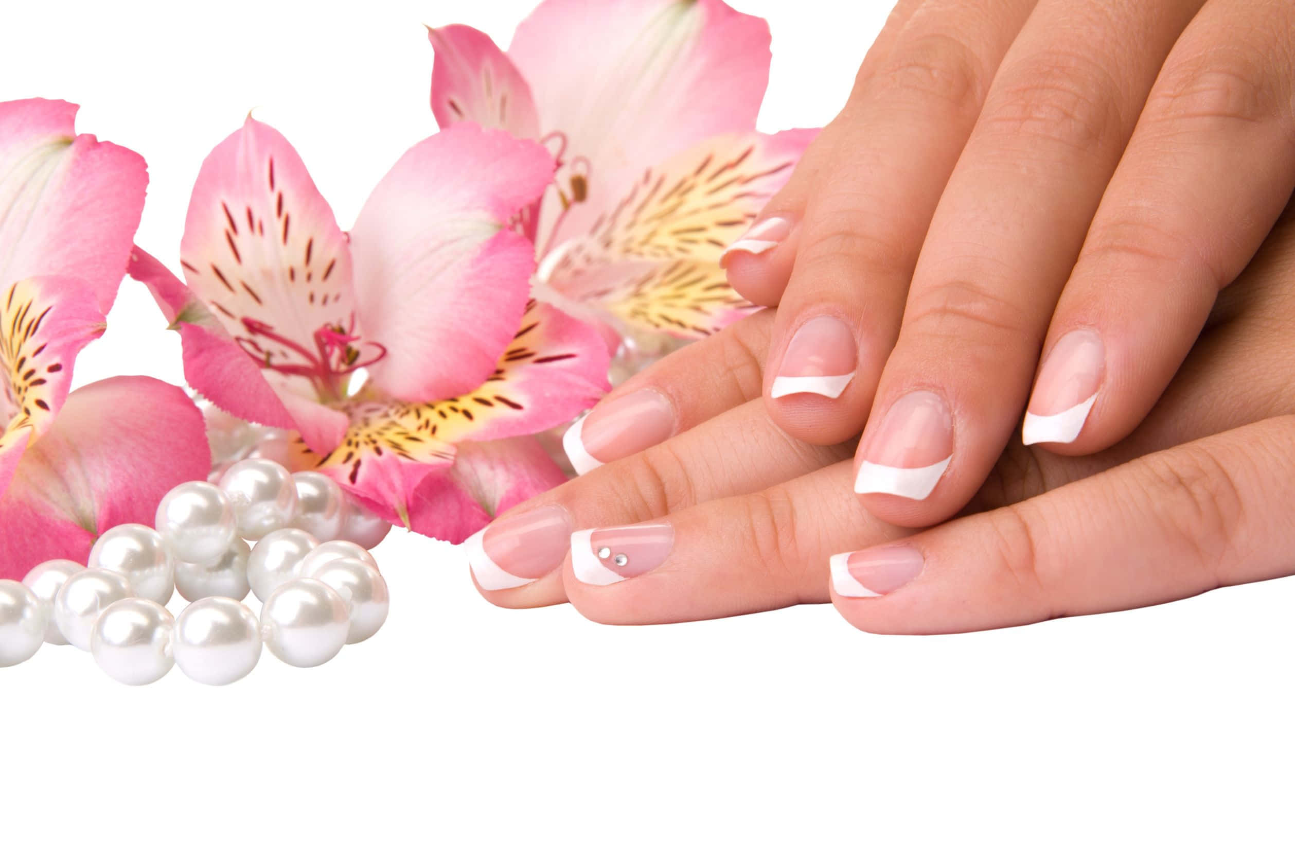 Nail 桌布 壁紙 — 特寫鏡頭：潔白法式指甲的優雅美甲手，旁邊是粉紅六出花和白色珍珠，背景純白。