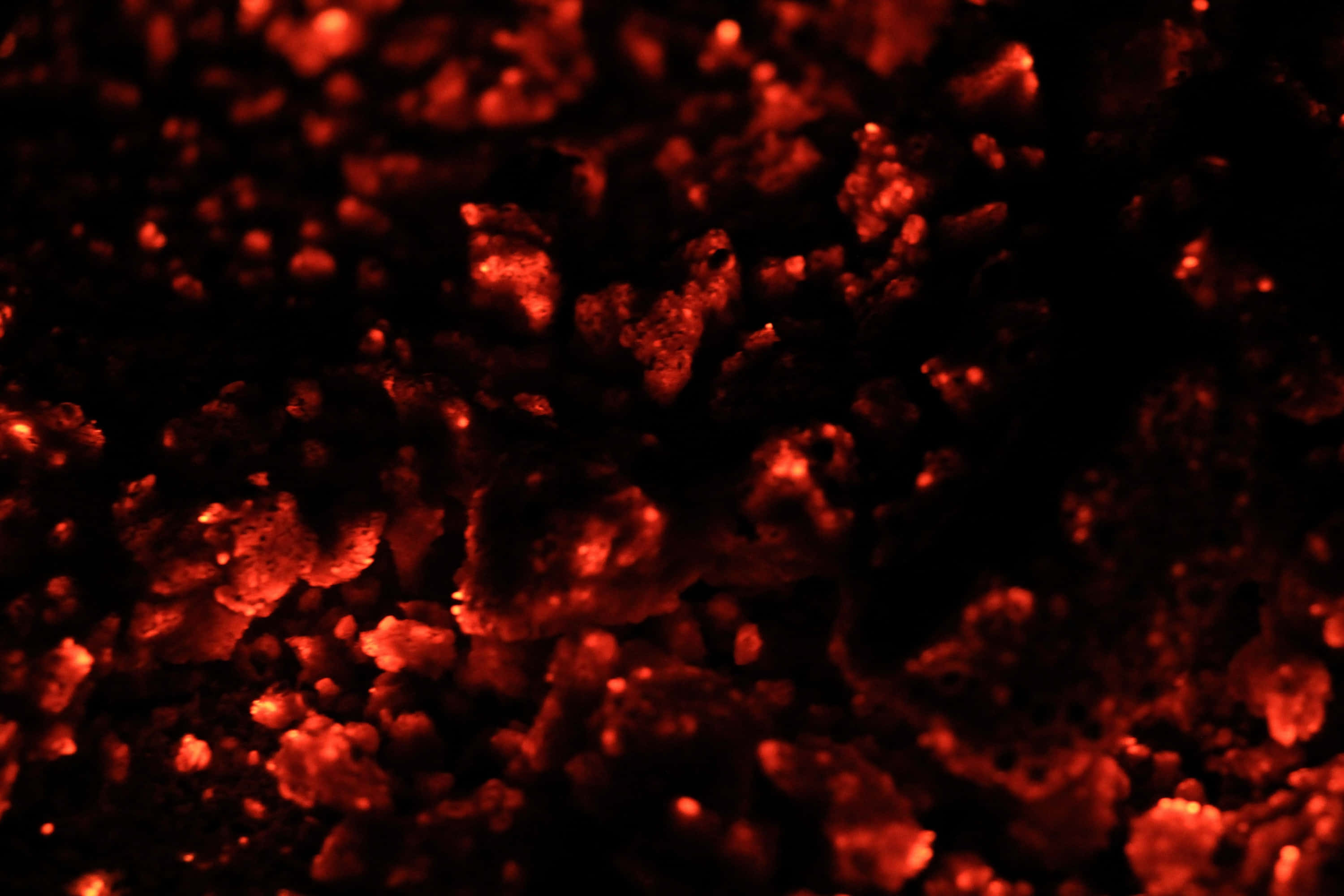 Red Texture 桌布 壁紙 — 特寫鏡頭，發光的餘燼在深黑色背景上投射出溫暖的紅光。