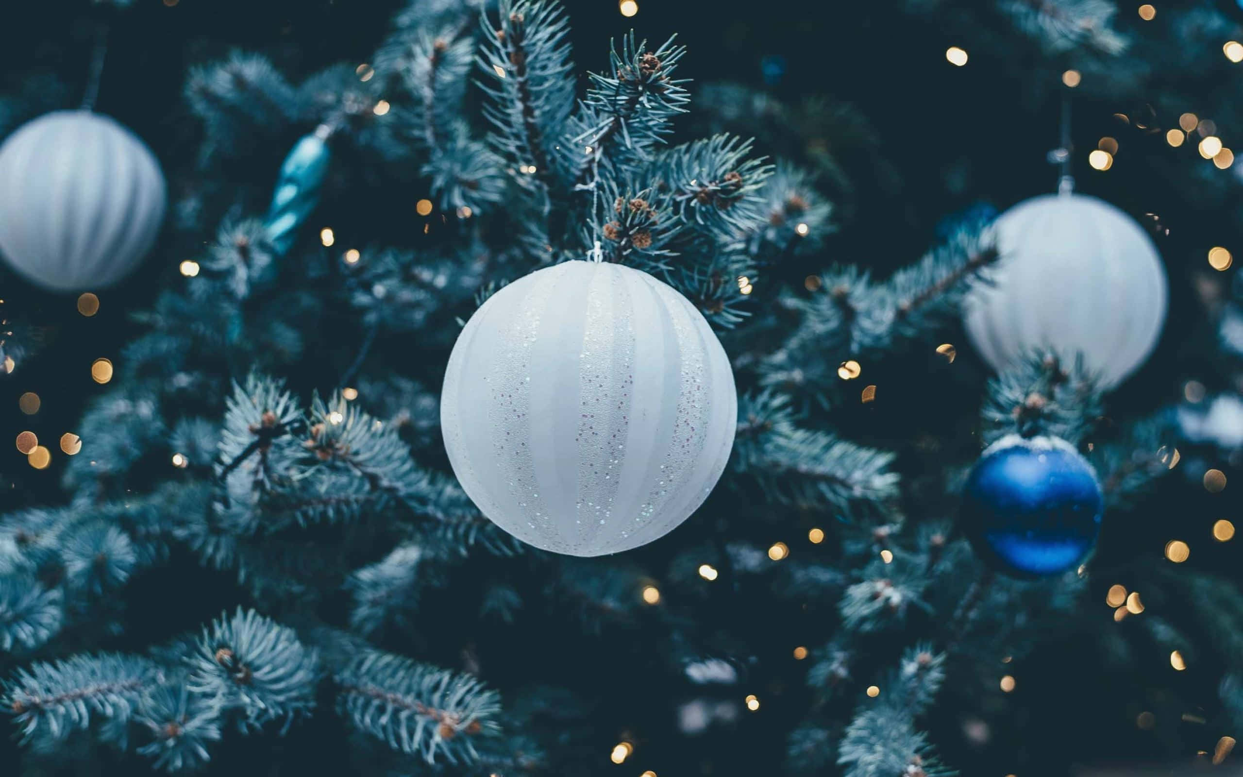 Christmas Eve 桌布 壁紙 — 特寫鏡頭：白色和藍色裝飾品掛在松樹上，背景是溫暖的散景燈光。