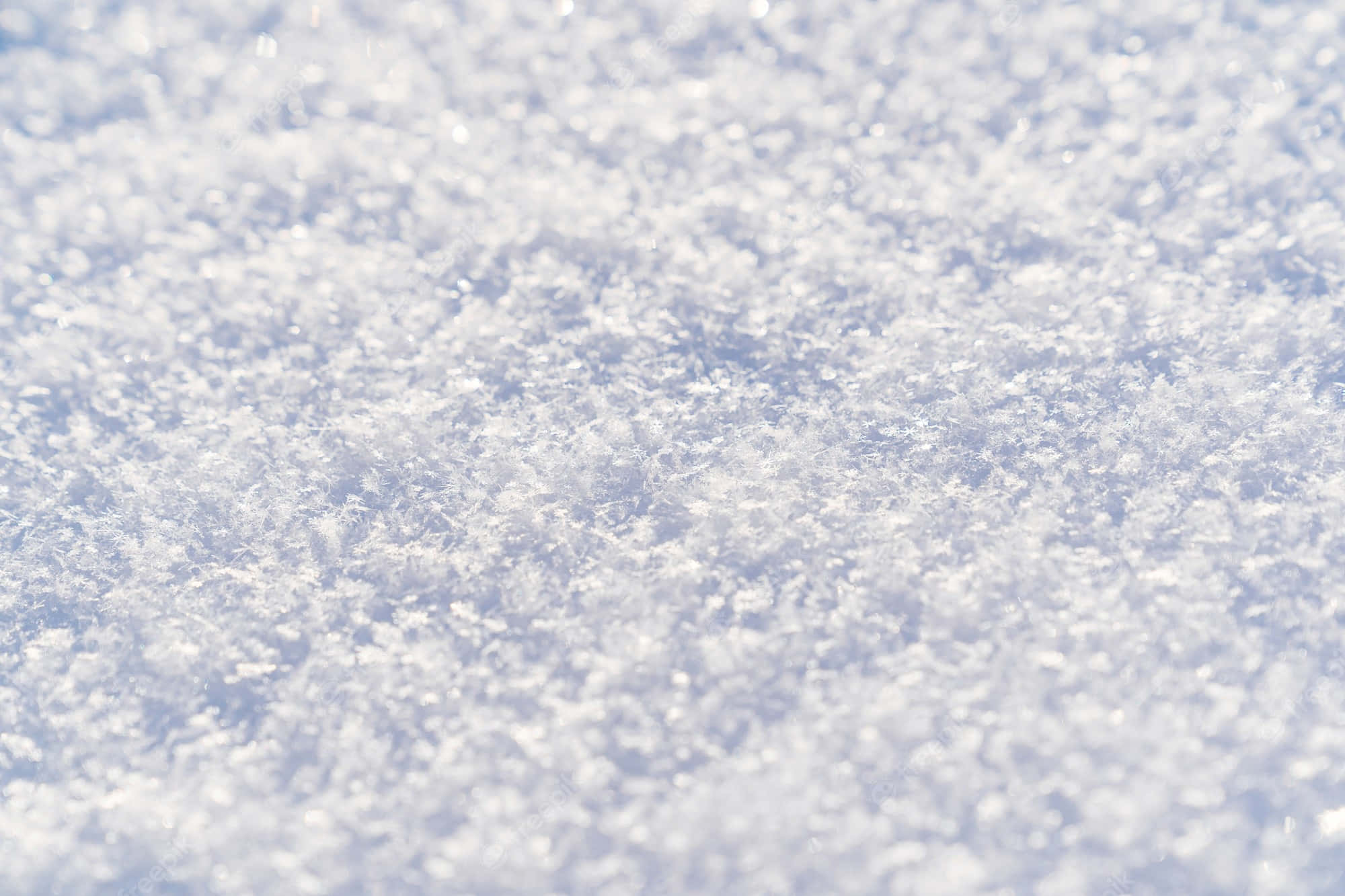 White Snow 桌布 壁紙 — 特寫鏡頭：精緻的雪晶在柔和日光下閃爍，景深較淺。