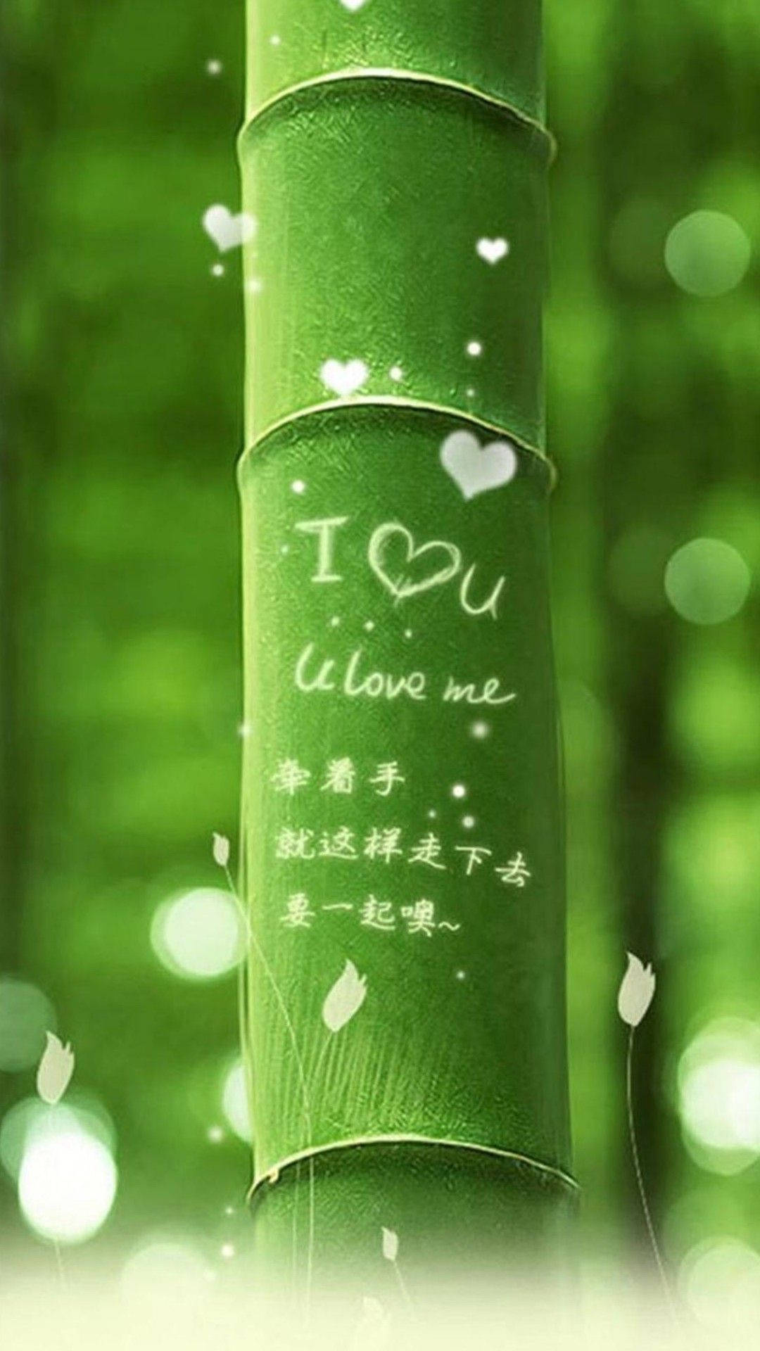 愛心 桌布 壁紙 — 特寫鏡頭：綠色竹莖上，手寫的愛情訊息和心形圖案在模糊的森林背景下柔和發光。
