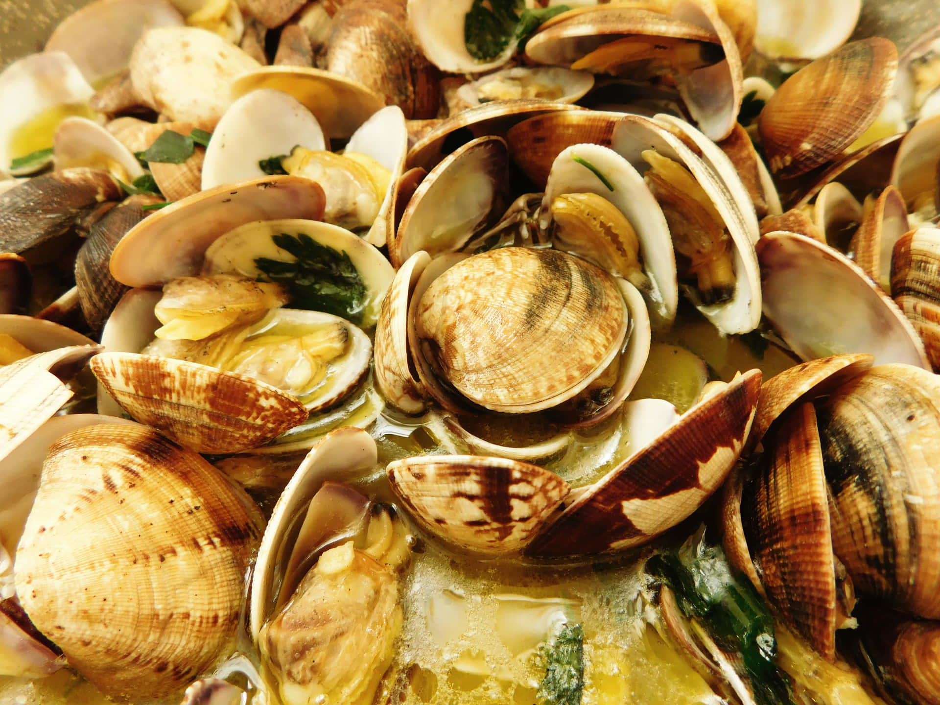 Clam texture 壁紙 — 特寫鏡頭：蒸蛤蜊搭配濃郁金黃色湯汁、新鮮綠色香草及融化奶油。