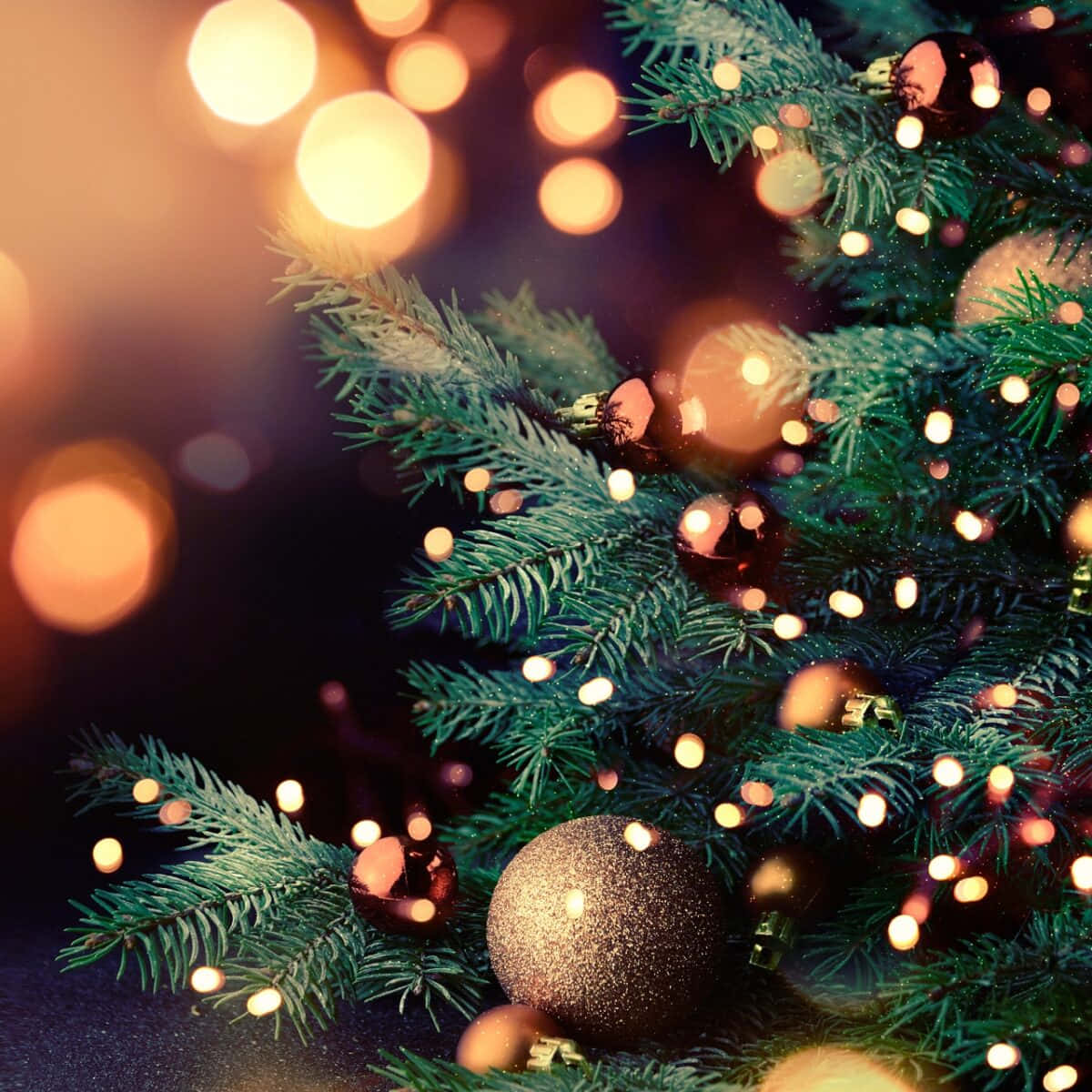 3d Christmas 桌布 壁紙 — 特寫鏡頭：裝飾華麗的常青樹枝，閃爍的飾物與溫暖的散景燈光在背景中柔和發光。