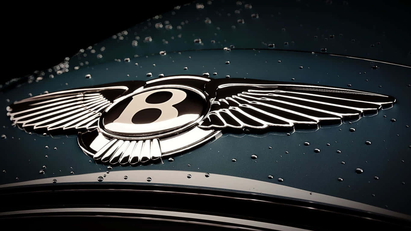 1366x768 Bentley 桌布 壁紙 — 特寫鏡頭：賓利標誌在戲劇性燈光下於濕潤的引擎蓋上閃耀。