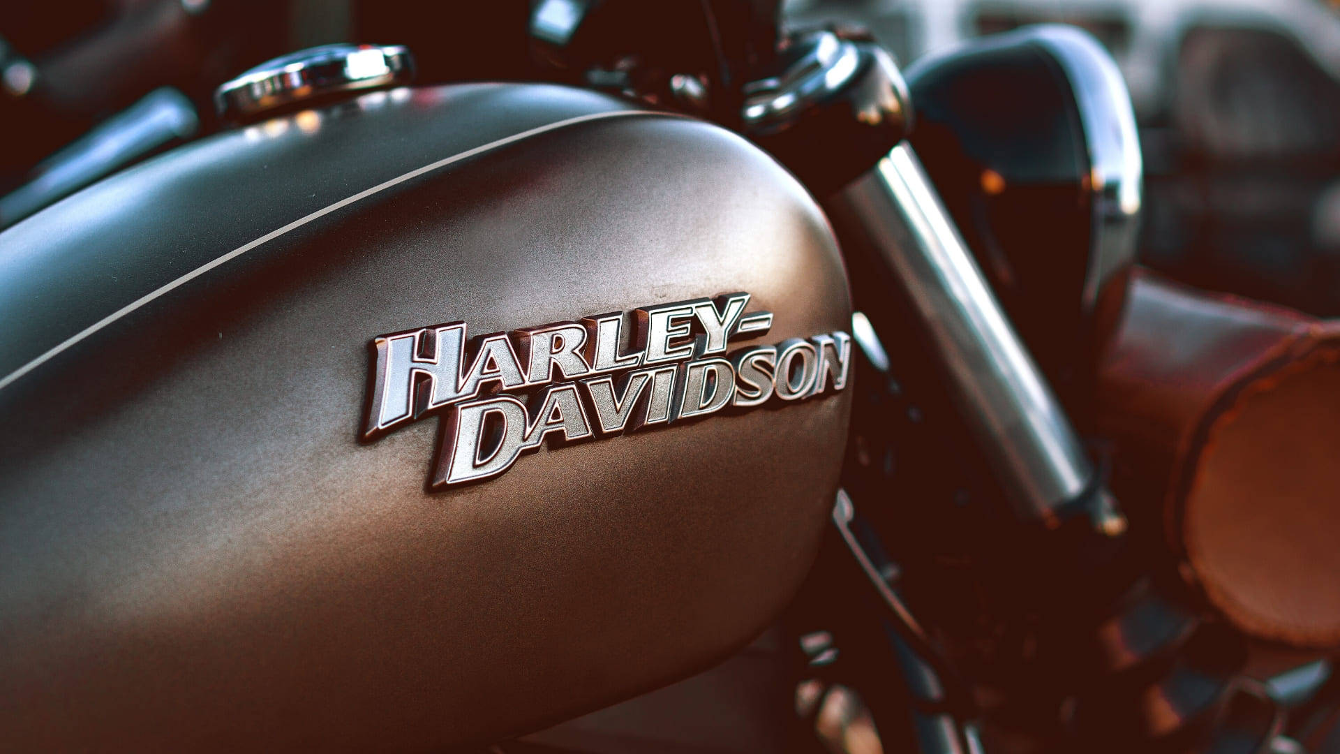 Harley 桌布 壁紙 — 特寫鏡頭：閃亮的哈雷戴維森機車油箱，帶有鍍鉻標誌和皮革側袋，在溫暖的燈光下。