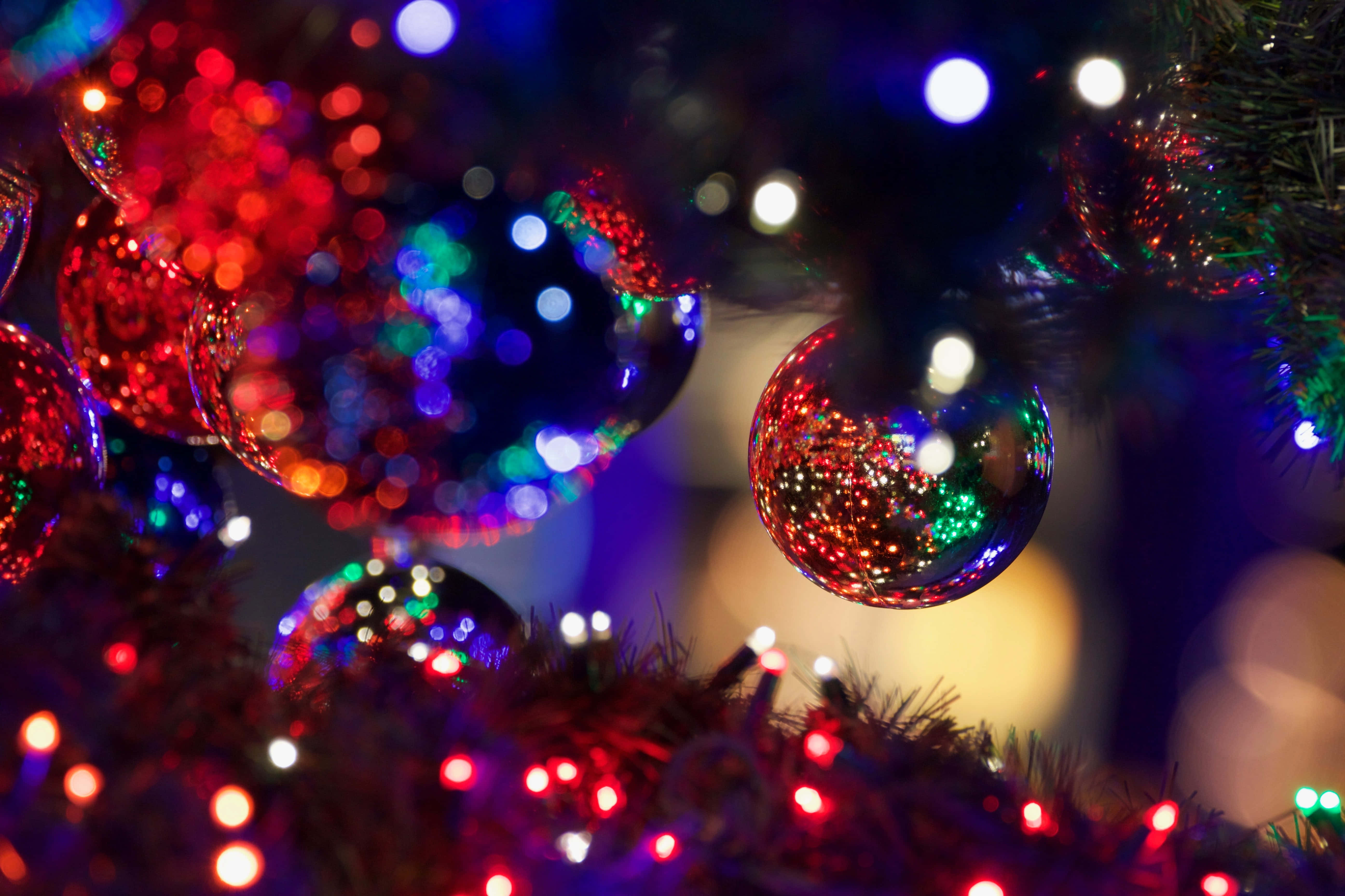 Christmas Light 桌布 壁紙 — 特寫鏡頭：閃爍的紅色、藍色和綠色聖誕裝飾品掛在樹上，搭配閃爍的燈光，營造出節日的散景效果。