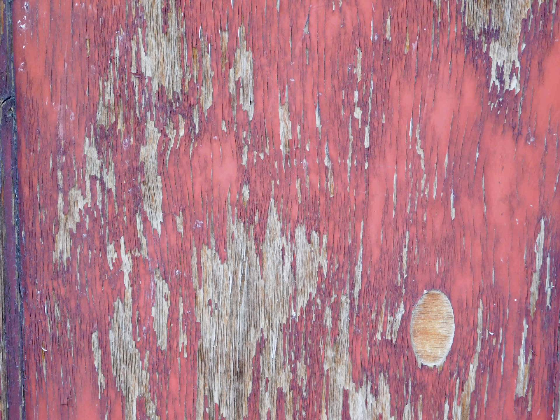 Wood texture 壁紙 — 特寫鏡頭：風化紅色油漆從老舊木質表面剝落，露出木紋和一個圓形節疤。