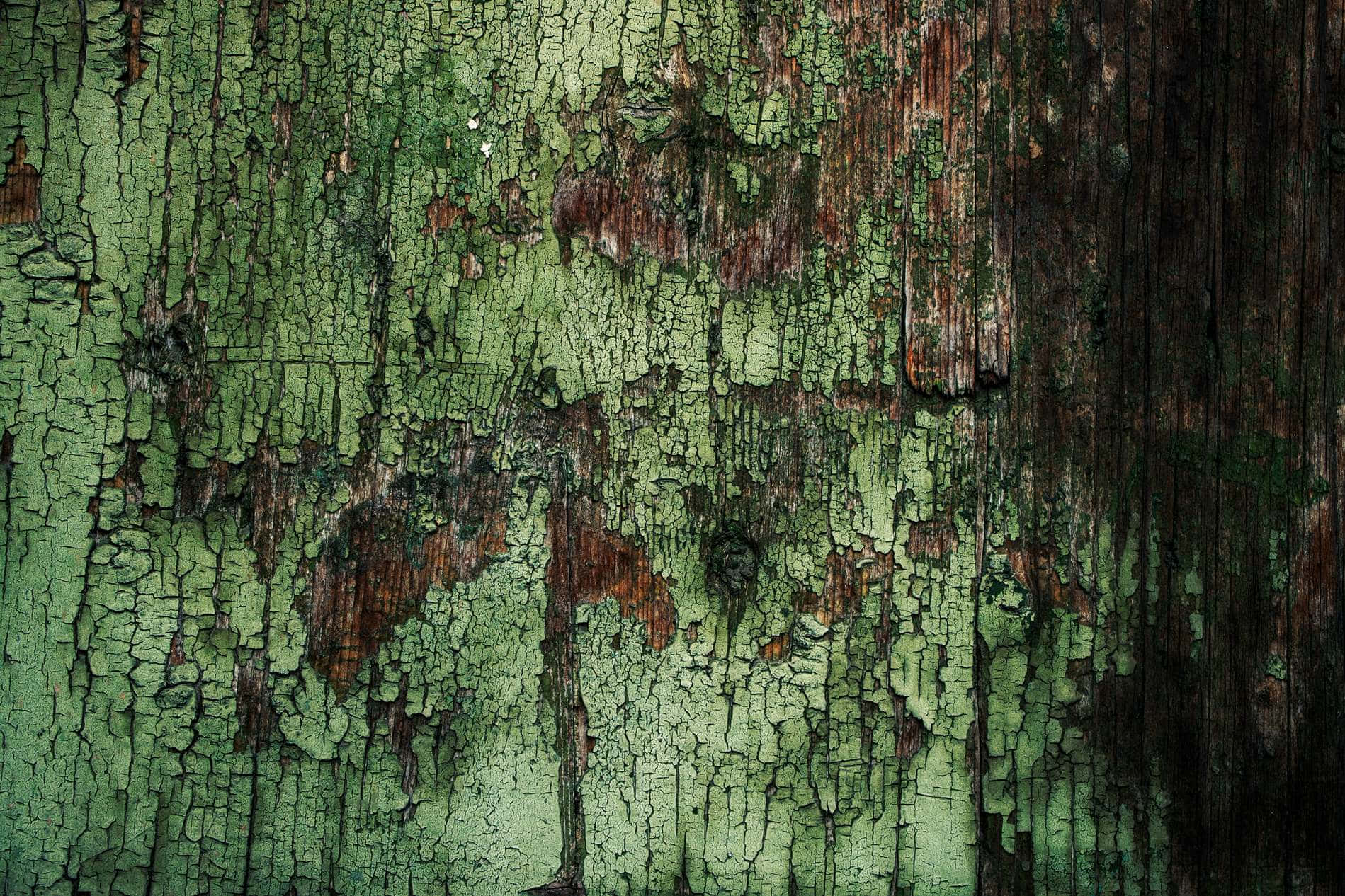 Dark Green Grunge 桌布 壁紙 — 特寫鏡頭：風化綠色油漆在深色木板上裂開剝落，露出底下陳舊的木紋。