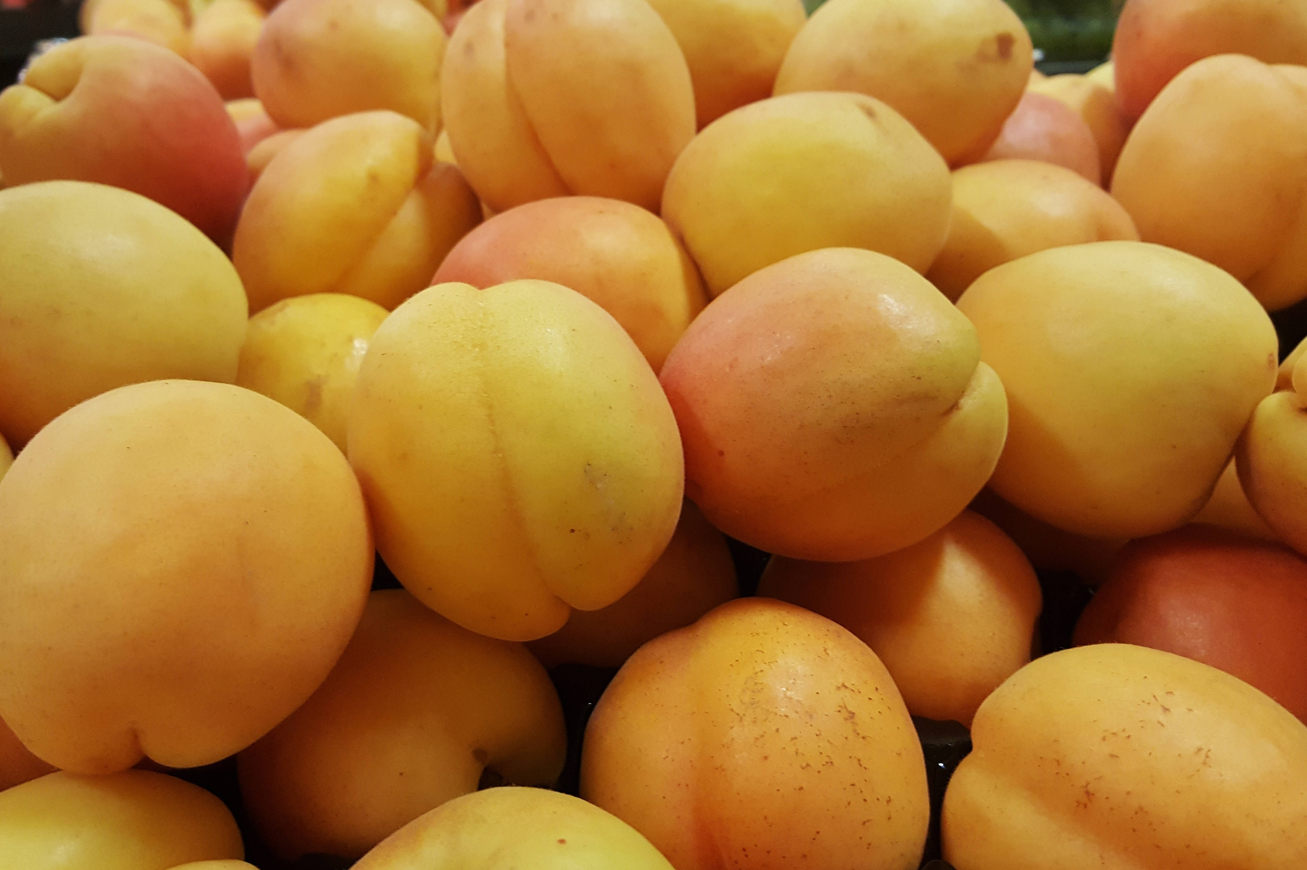 Fruits 桌布 壁紙 — 特寫鏡頭，飽滿成熟的杏子堆疊在一起，展現其柔軟的黃橙色調和絨毛質感。