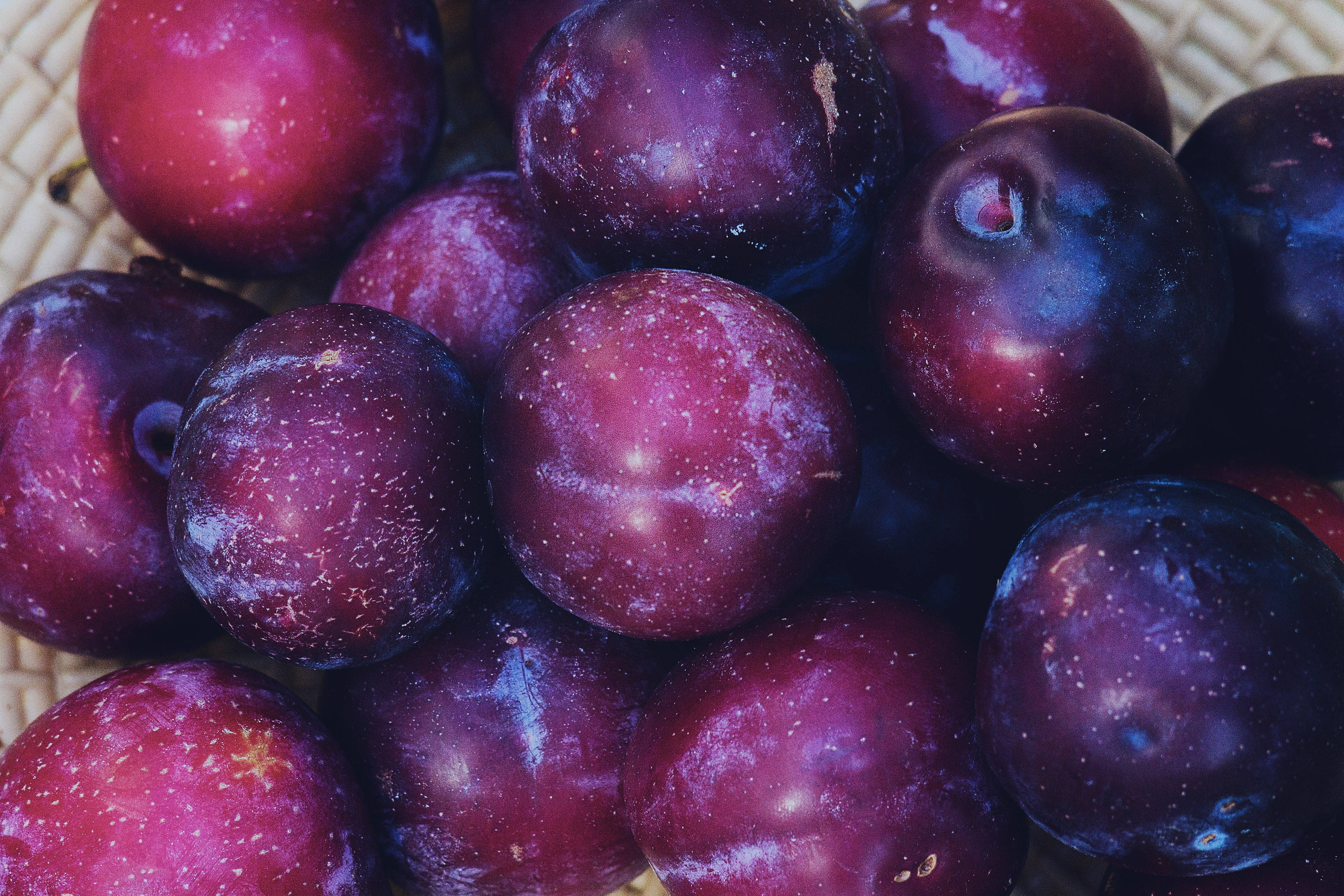 Fruit 桌布 壁紙 — 特寫鏡頭：飽滿深紫色李子帶有粉霜，放在編織籃中。
