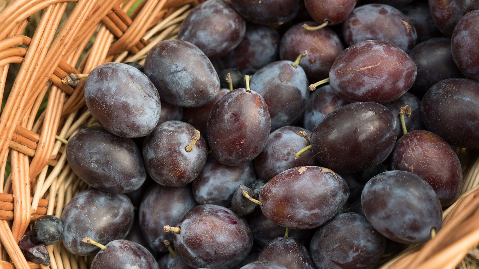 Fruits 桌布 壁紙 — 特寫鏡頭：飽滿的深紫色李子帶有粉狀果粉，安放在編織柳條籃中。