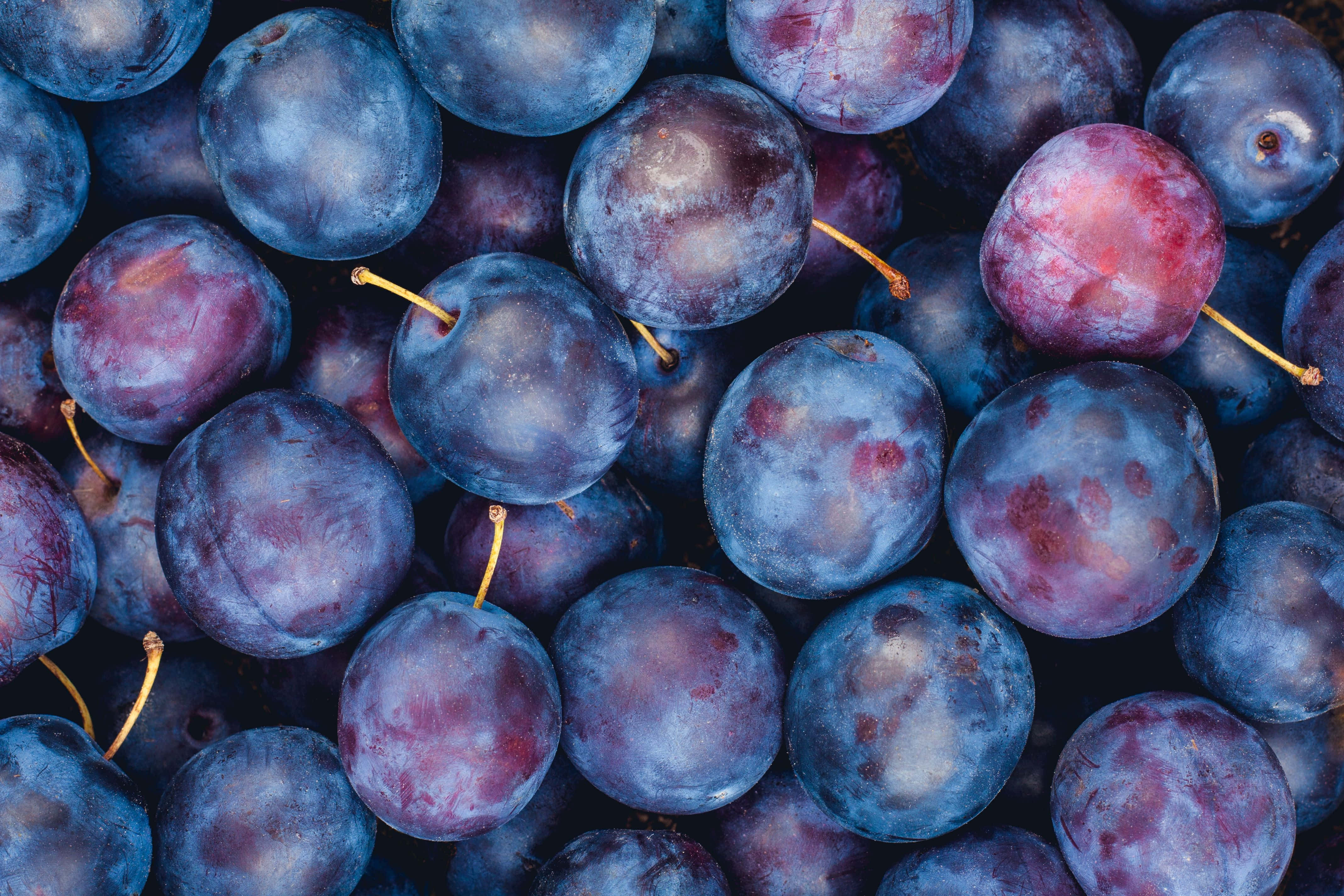 Fruits 桌布 壁紙 — 特寫鏡頭：飽滿的藍色李子，帶有粉狀表皮和小莖，緊密地簇擁在一起。