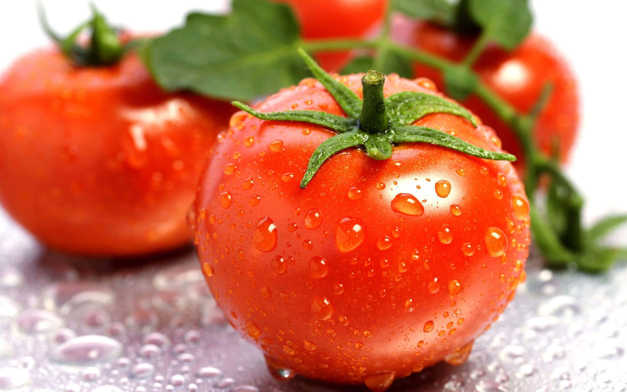 tomato 桌布 壁紙 — 特寫鏡頭：鮮紅番茄在潮濕表面上閃爍著水珠，帶有綠色莖部。