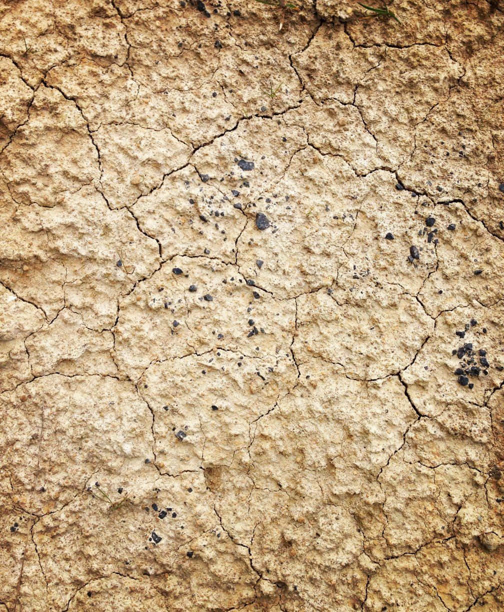 Dirt 桌布 壁紙 — 特寫鏡頭下，乾裂的土地上佈滿深深的裂縫和散落的黑色斑點，在明亮的日光中。