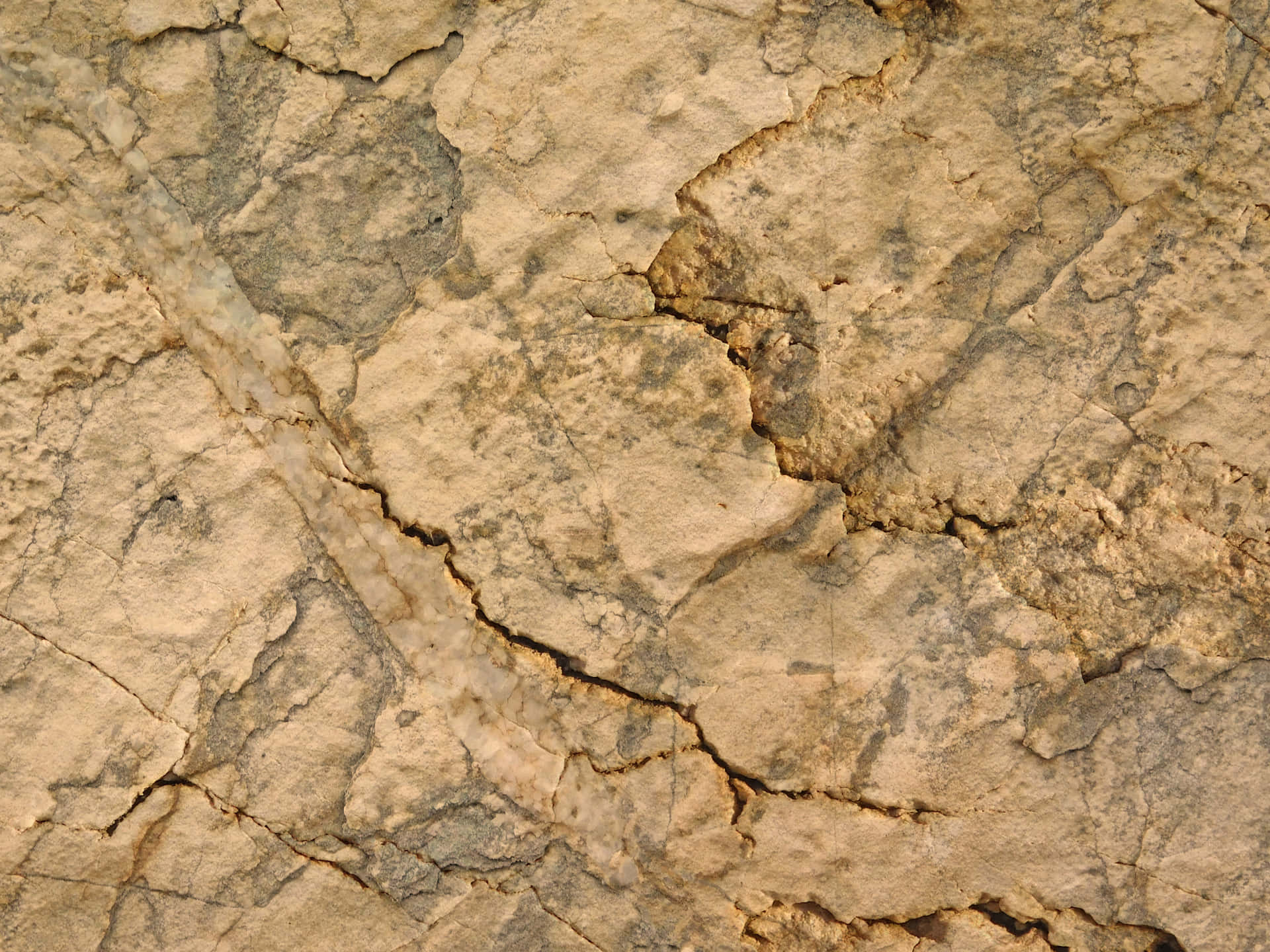 Stone texture 壁紙 — 特寫鏡頭下的乾裂土地，深裂紋與質感豐富的米灰色土壤，沐浴在溫暖陽光中。