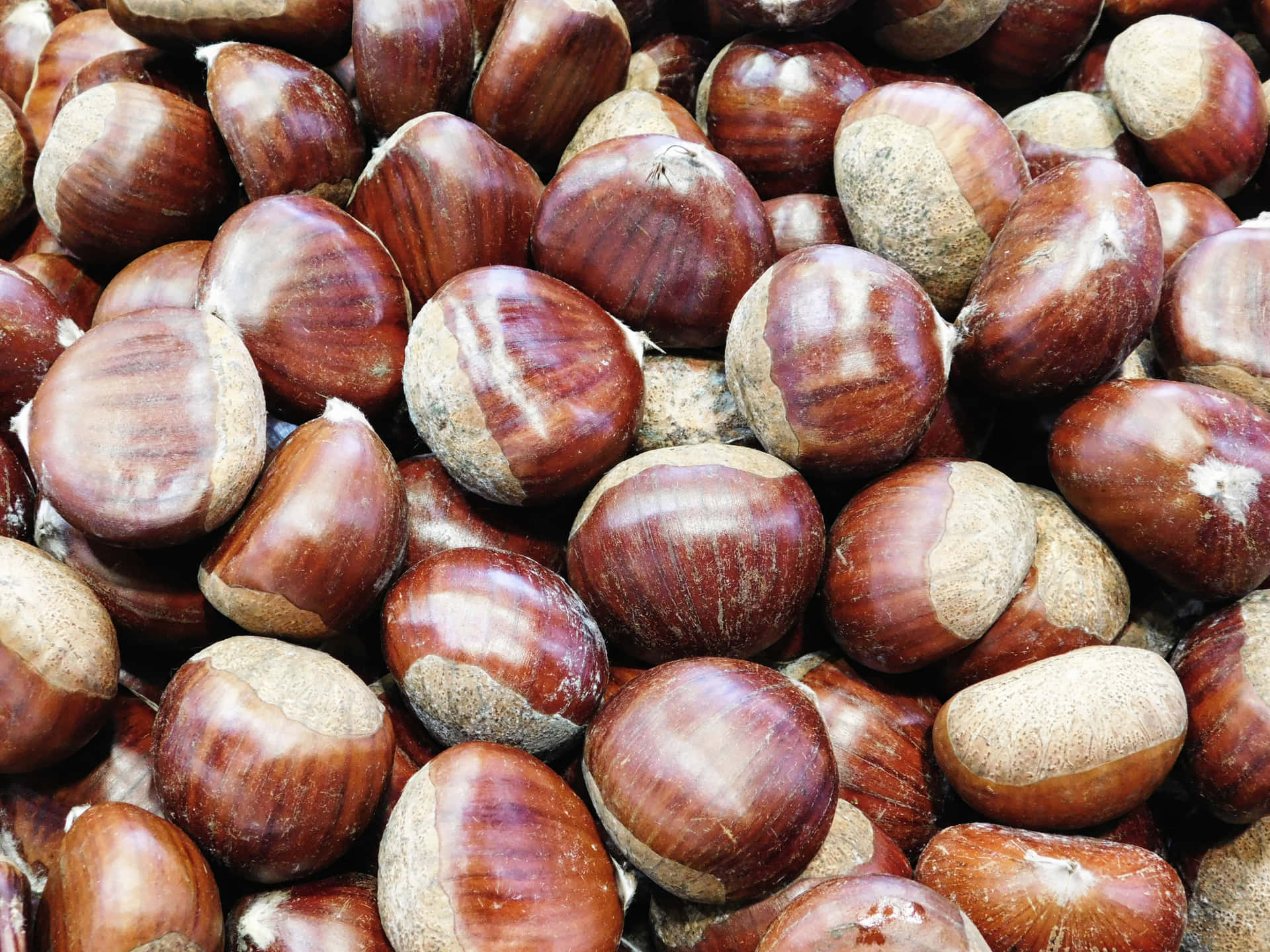 Chestnuts 壁紙 — 特寫鏡頭中，光澤的棕色栗子堆疊在一起，展現出自然紋理和大地色調。