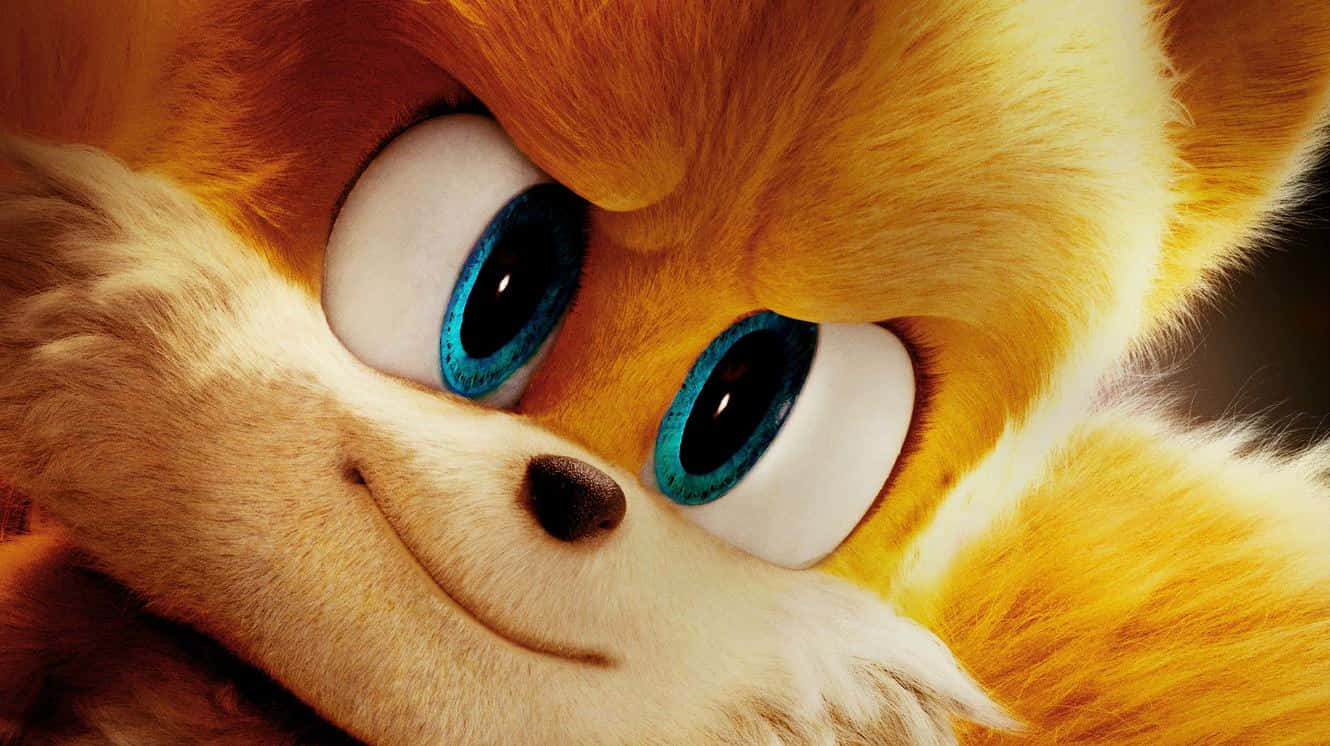 Sonic The Hedgehog Characters 桌布 壁紙 — 特寫鏡頭中，塔爾斯富有表現力的藍色眼睛和蓬鬆的橙色毛髮，呈現溫暖的電影感。