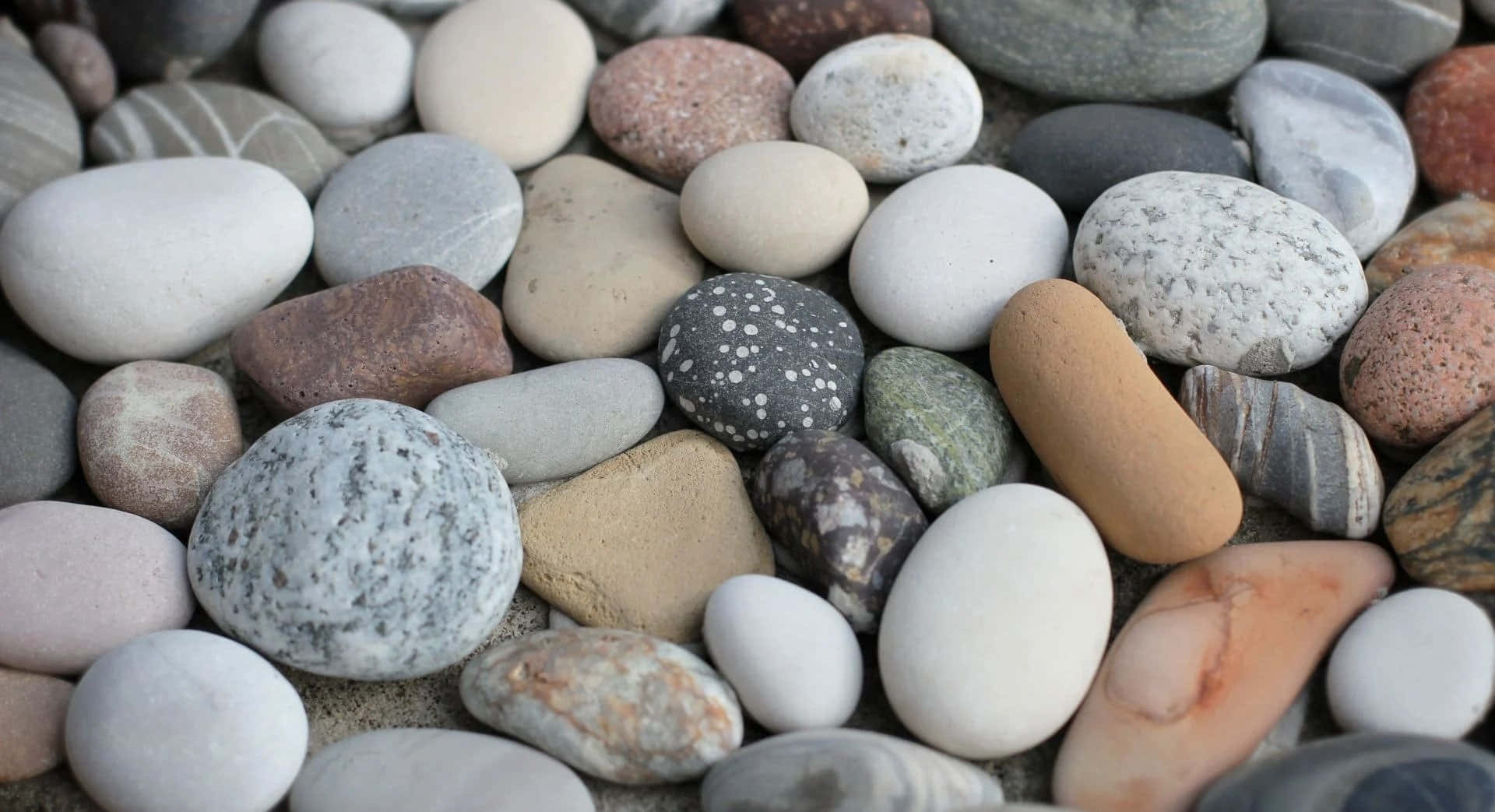 Stone 桌布 壁紙 — 特寫鏡頭展示各種大地色調和紋理的平滑圓形河石，靜置在沙地上。