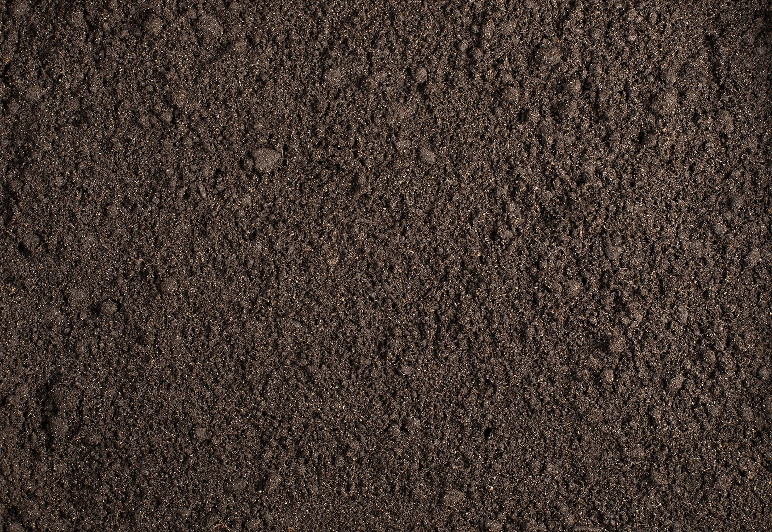 Dirt 桌布 壁紙 — 特寫鏡頭顯示豐富深棕色土壤，具有細膩的顆粒質地和微妙的自然變化。