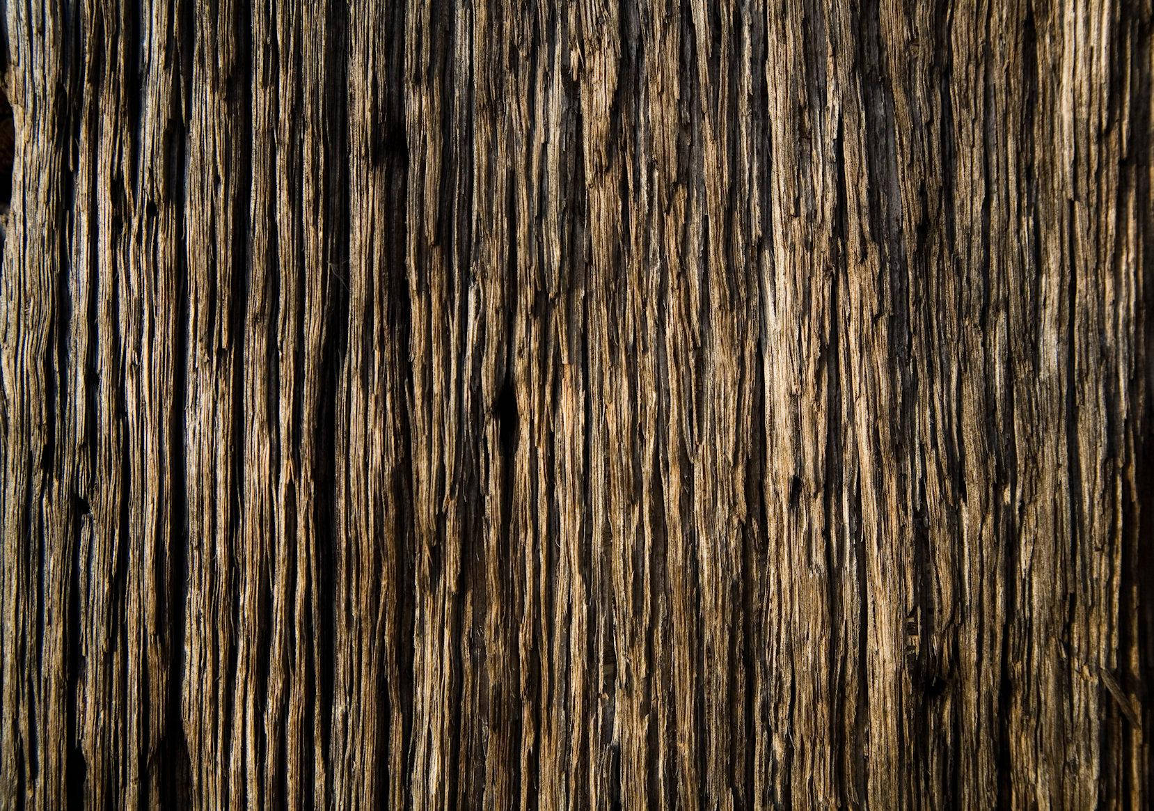Wood Texture 桌布 壁紙 — 特寫風化木板的深直紋理，在柔和光線下呈現溫暖棕色調。