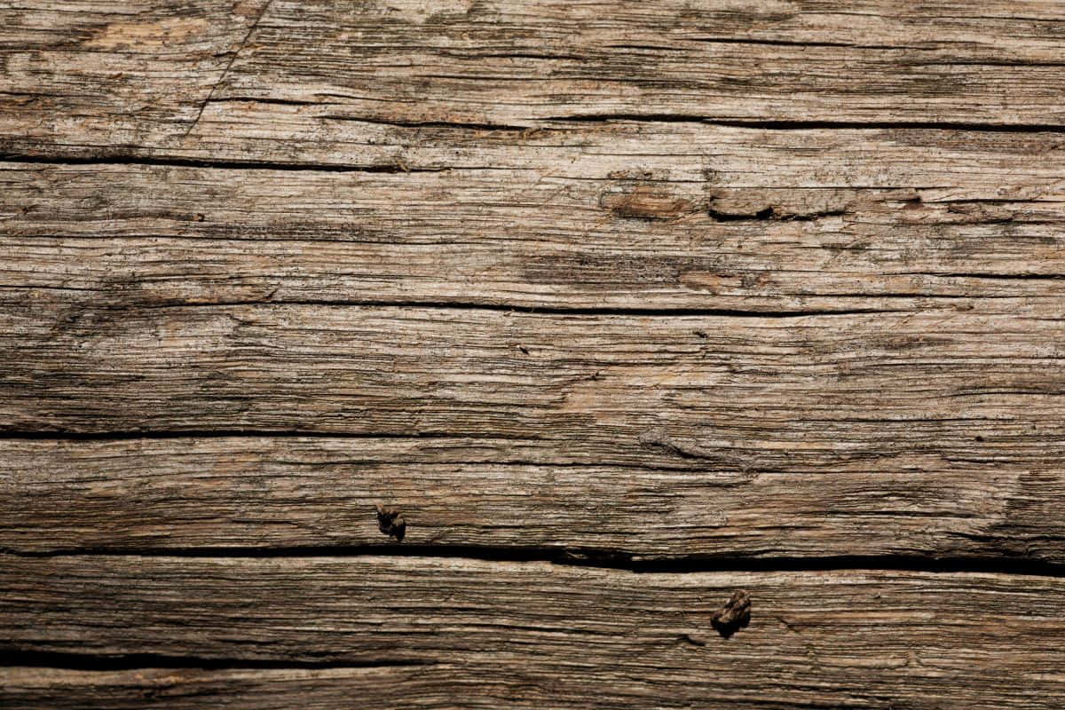 Brown Wood 桌布 壁紙 — 特寫風化木板的特寫，顯示在柔和光線下的深裂紋和天然木紋圖案。