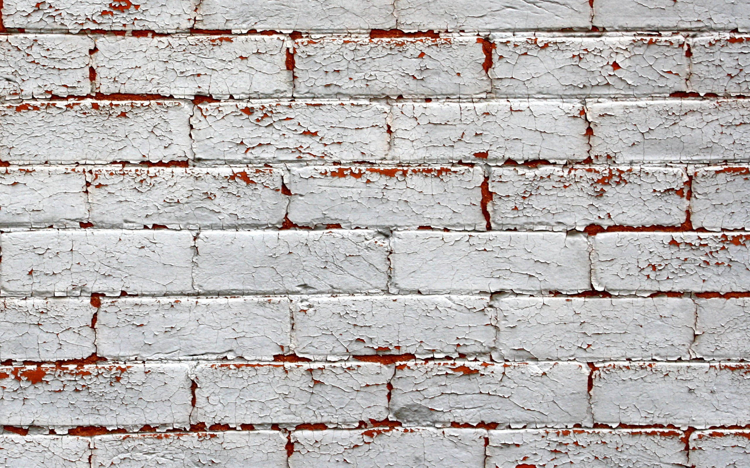 Brick 桌布 壁紙 — 特寫風化白色油漆從紅磚牆剝落，露出質樸紋理表面。