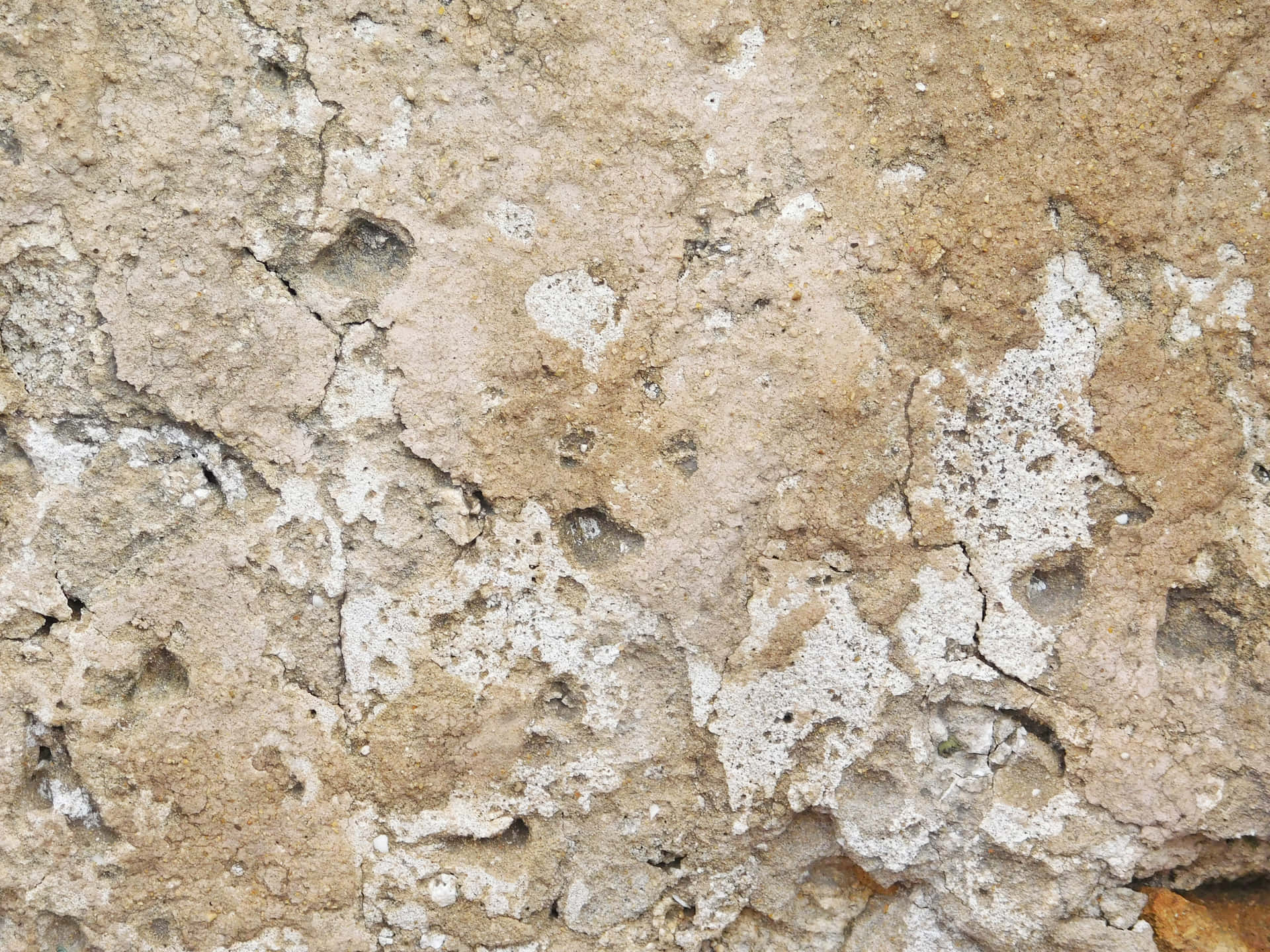 Stone texture 壁紙 — 特寫風化的米色和白色混凝土牆，裂紋和侵蝕紋理。