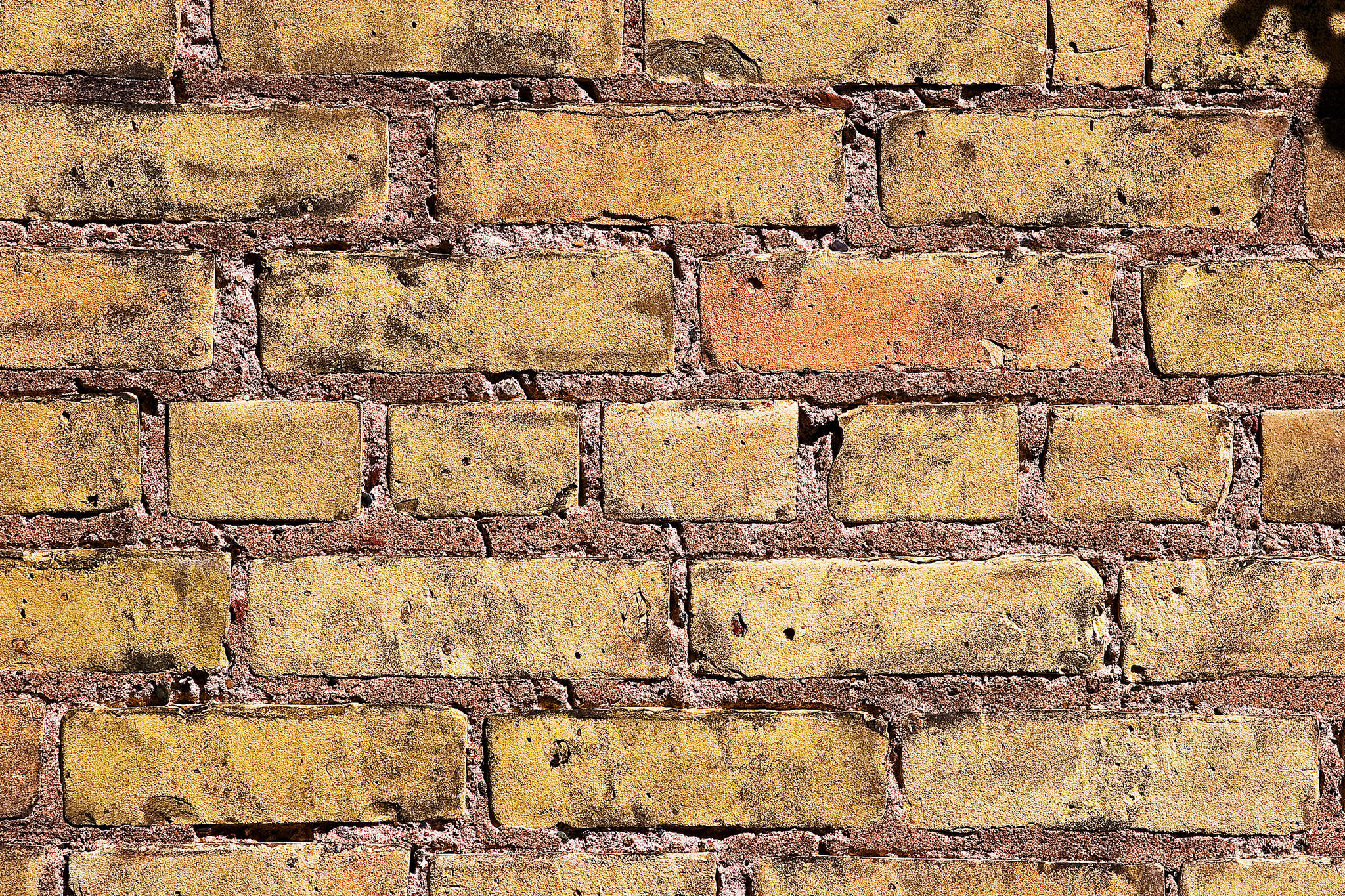 Brick 桌布 壁紙 — 特寫風化黃磚，裂縫砂漿，明亮日光下細膩紋理。