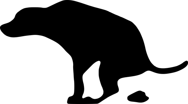 狗剪影映襯夕陽 壁紙