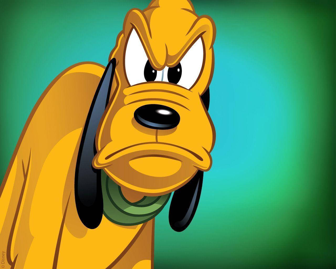 pluto 桌布 壁紙 — 狗狗布魯圖的近距離特寫，在綠色漸變背景前露出憤怒表情。