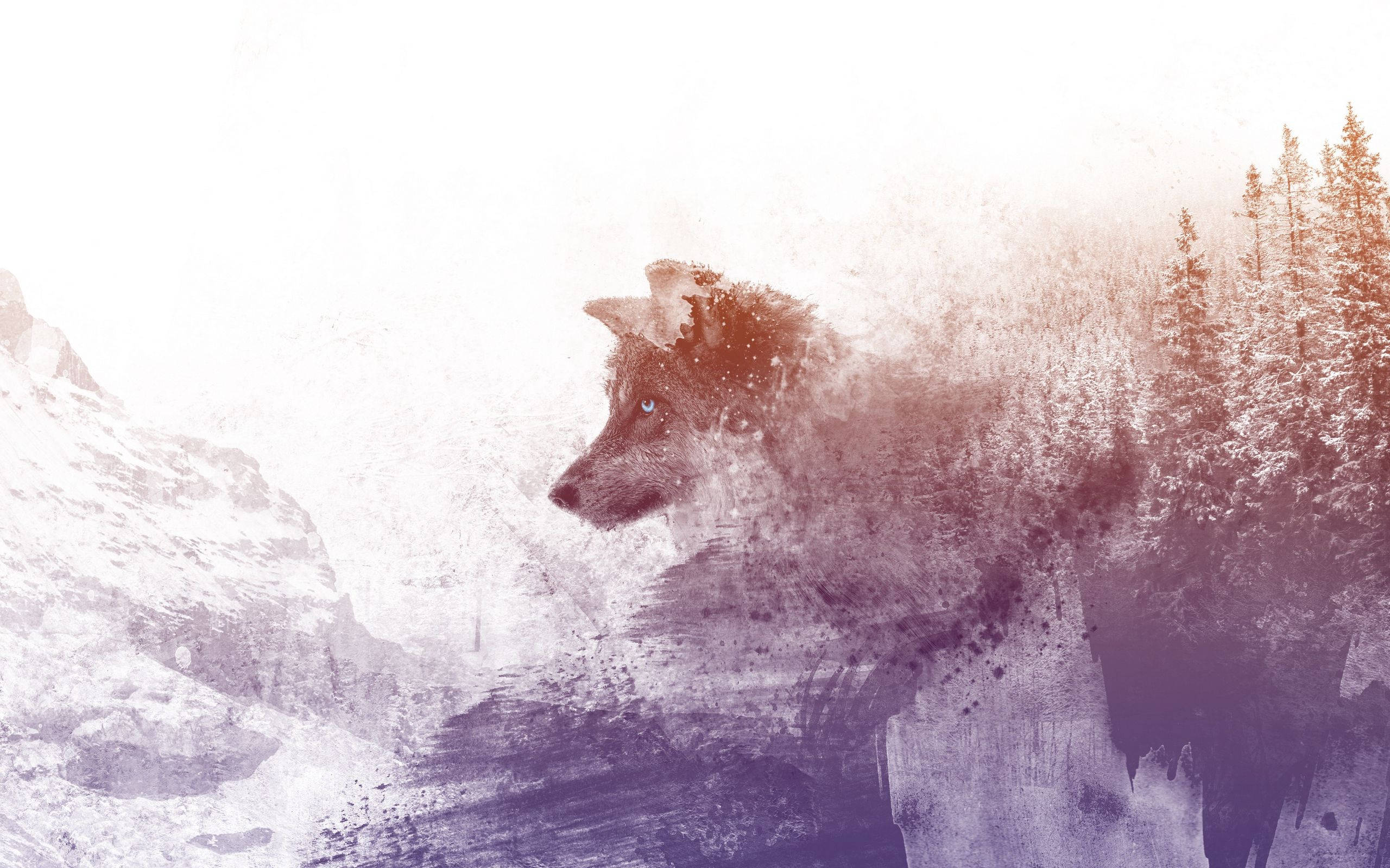 Dog Art 桌布 壁紙 — 狼的側面從雪覆蓋的山景和松樹中以繪畫般的水彩風格浮現。