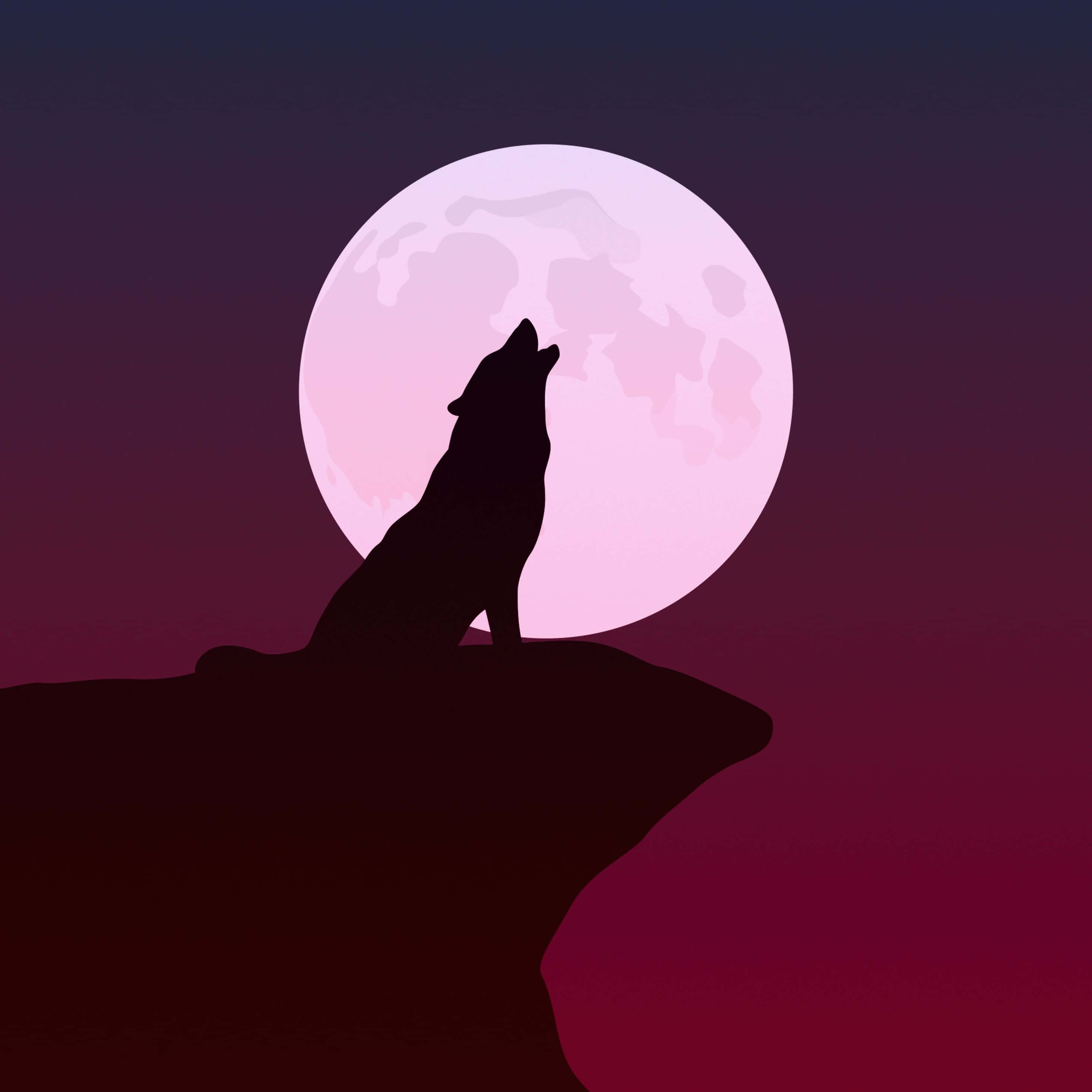 Howling Wolf 桌布 壁紙 — 狼的剪影在深紫色暮色天空中對著發光的粉紅色月亮嚎叫。