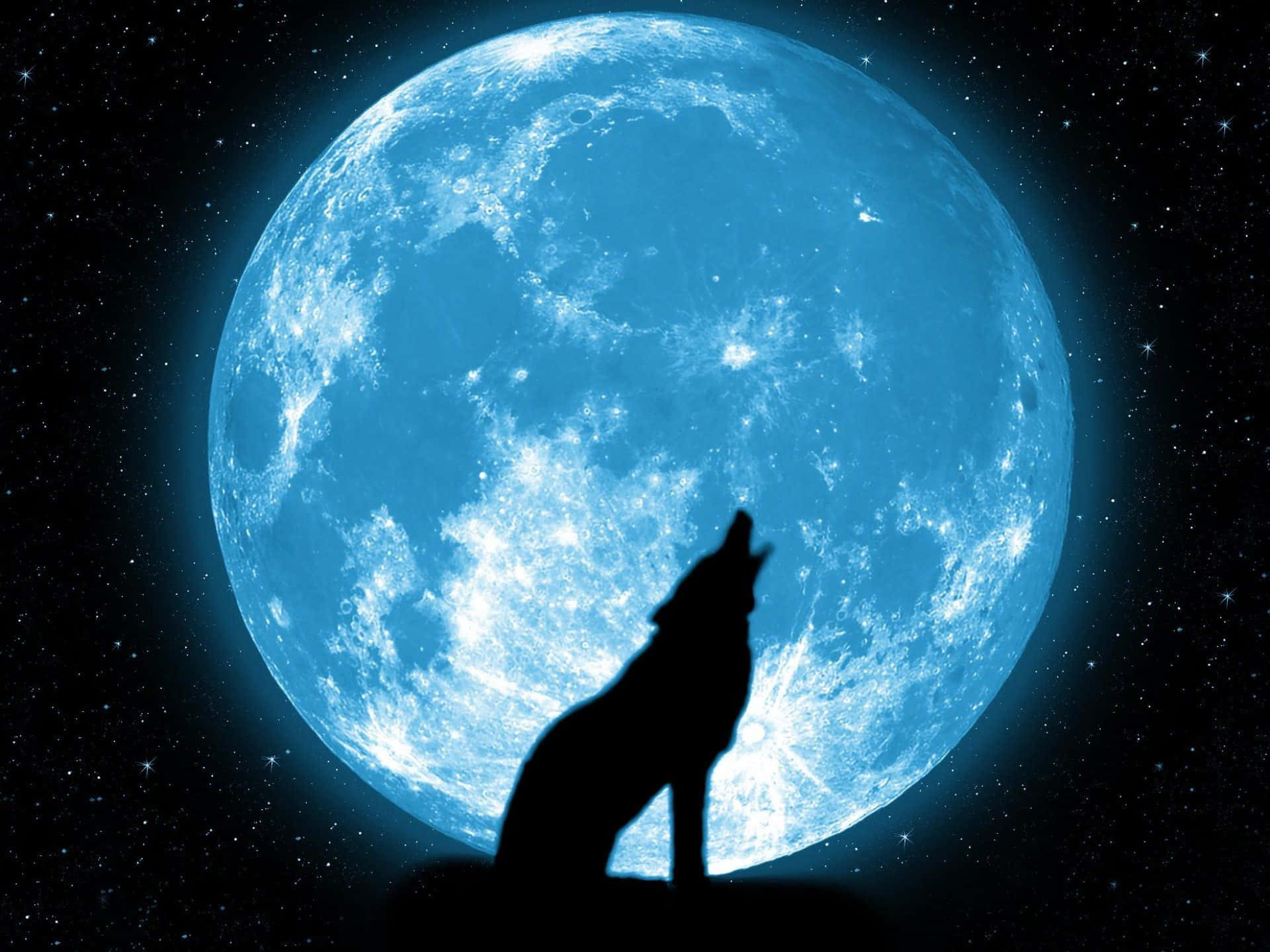 Beautiful Wolf 桌布 壁紙 — 狼的剪影在繁星點點的夜空下對著巨大的發光藍月嚎叫。