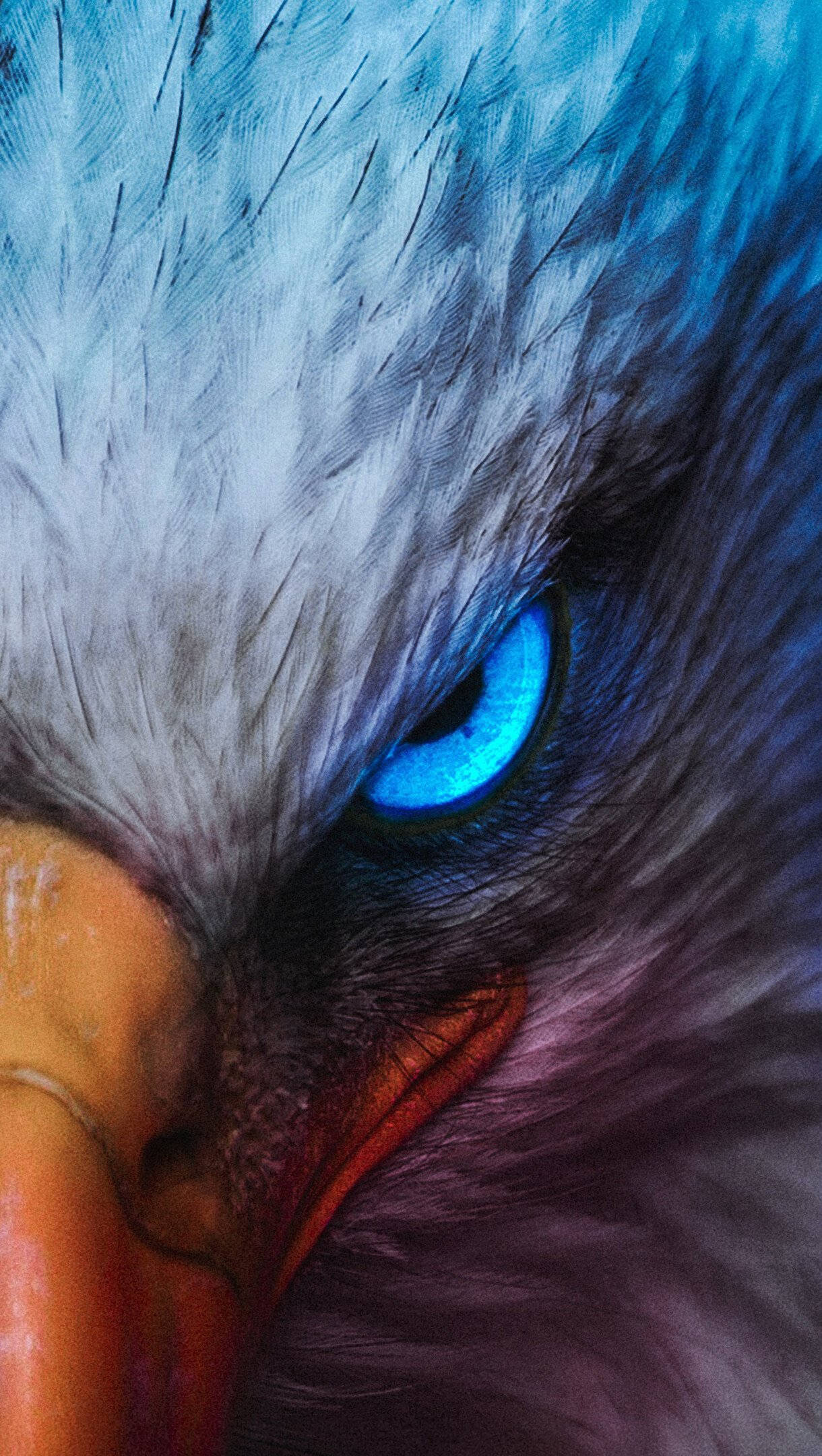 Eagle 桌布 壁紙 — 猛禽的近距離特寫，擁有銳利的藍色眼睛和冷色調的細緻羽毛。