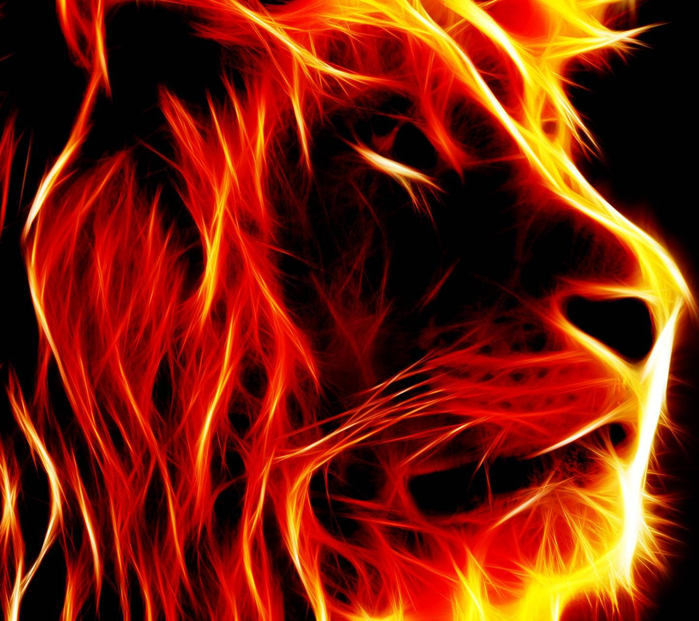 Lion Head 桌布 壁紙 — 獅子頭從鮮豔的橙色和紅色火焰中浮現，背景為純黑色。