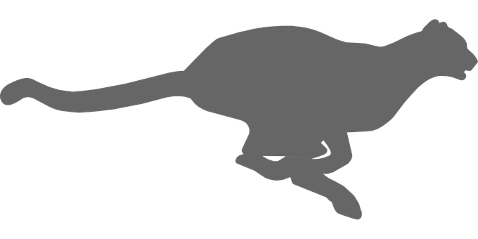 獵豹剪影奔馳 壁紙