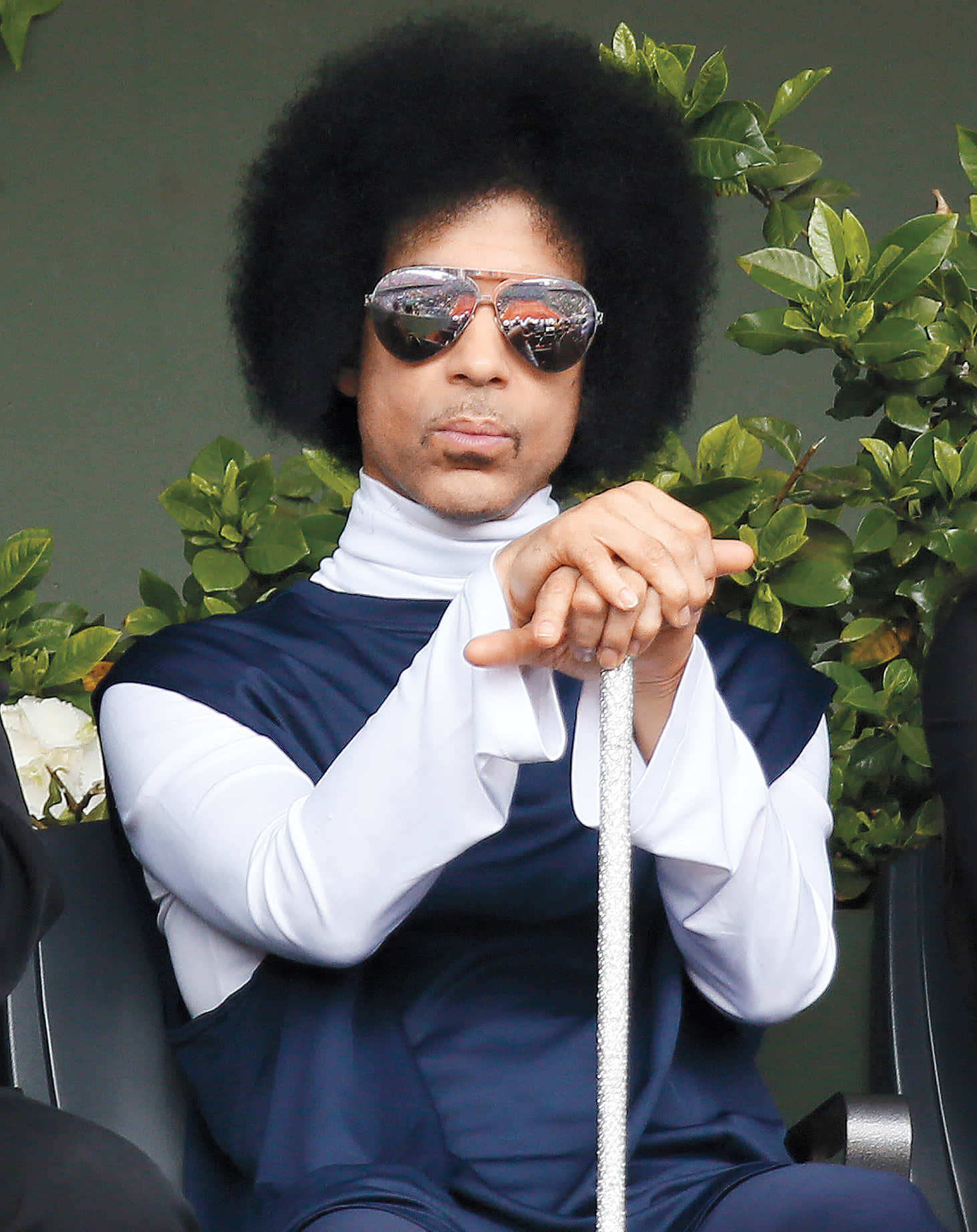 Prince 桌布 壁紙 — 王子自信地戴著太陽眼鏡坐著，手持閃閃發光的手杖，被茂密的綠色植物環繞。