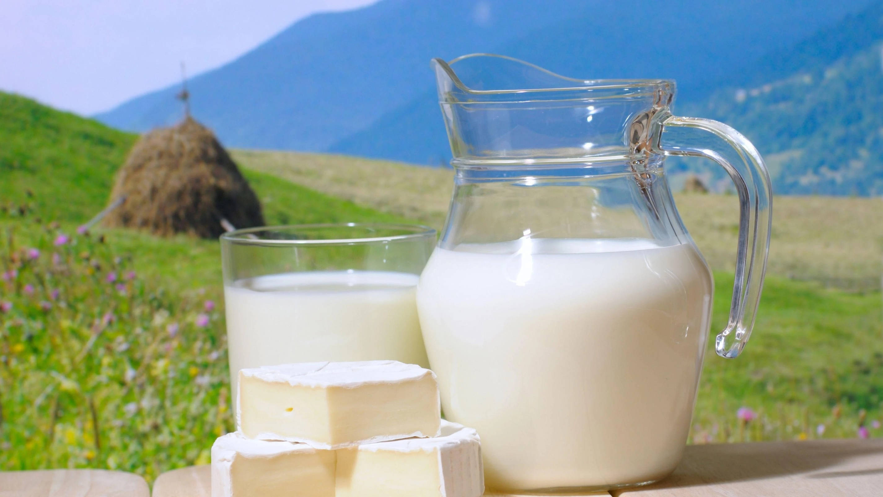 Milk 桌布 壁紙 — 玻璃壺和玻璃杯中的新鮮牛奶，木桌上疊放著布里起司，背景是充滿活力的綠色草地和遠山。