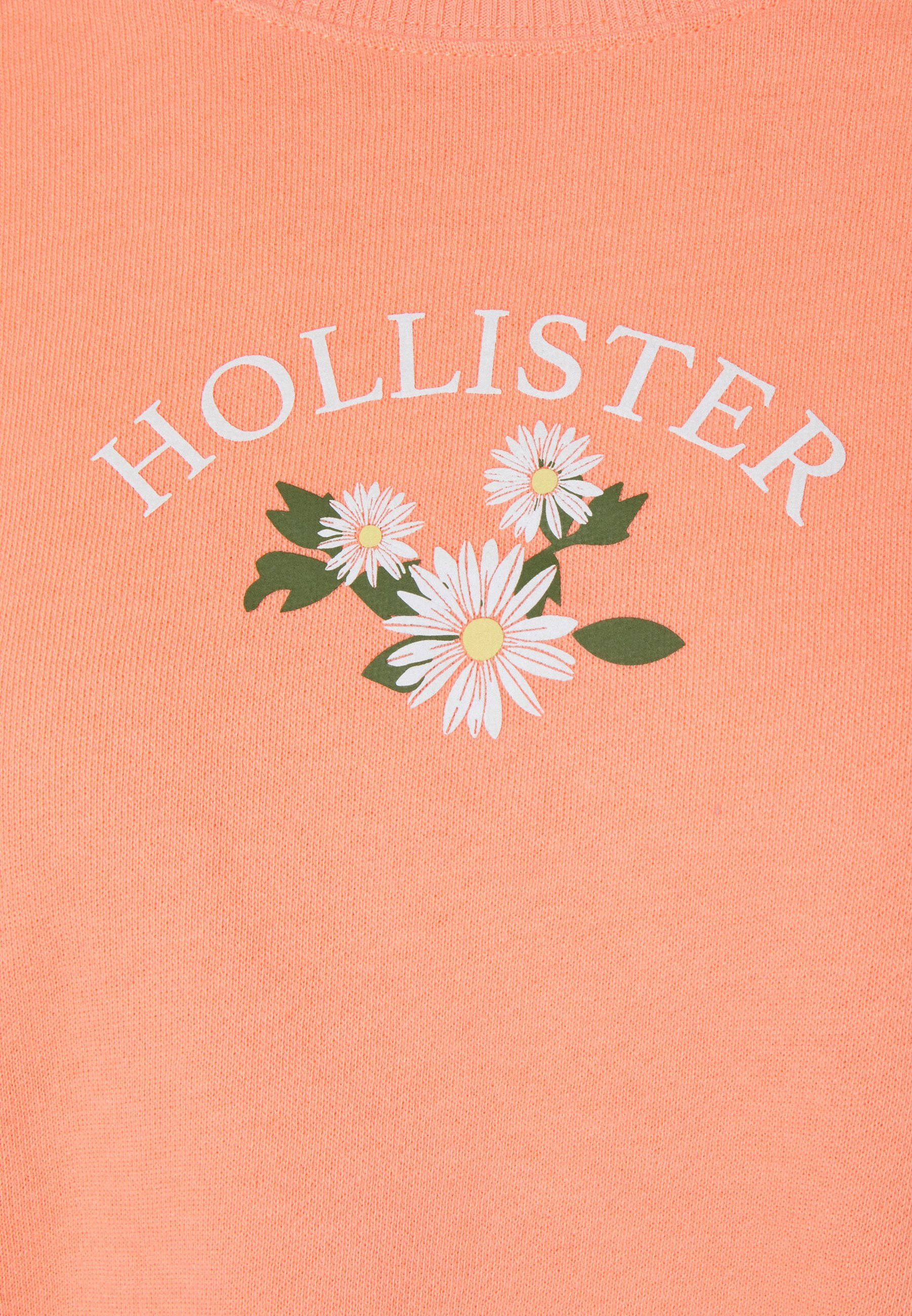 Hollister 桌布 壁紙 — 珊瑚粉紅色 Hollister 毛衣的特寫，上面有白色雛菊和綠色葉子，下方有拱形白色文字。