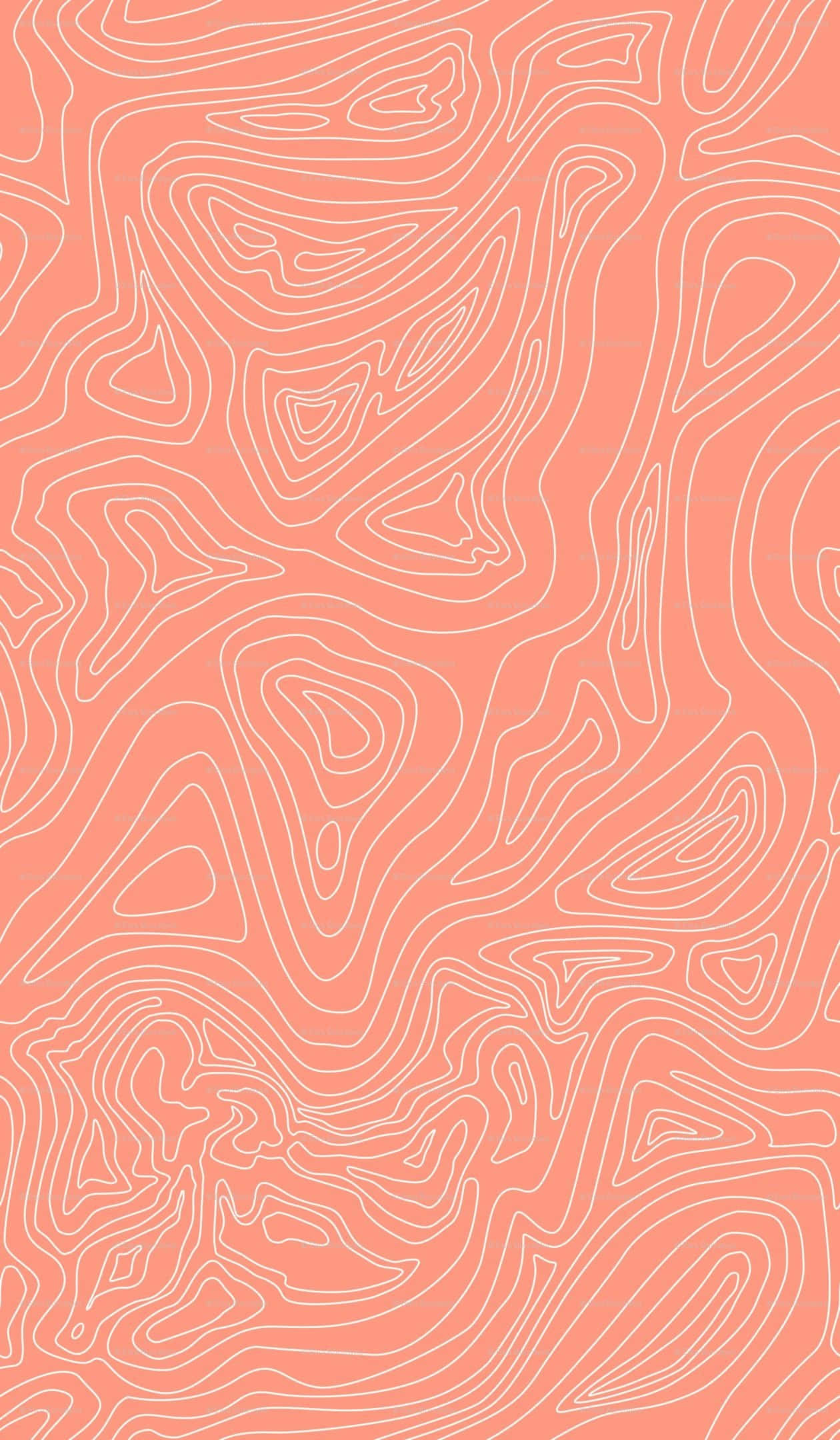 coral 桌布 壁紙 — 珊瑚粉紅色背景，帶有流動的白色輪廓線，形成抽象的地形圖案。